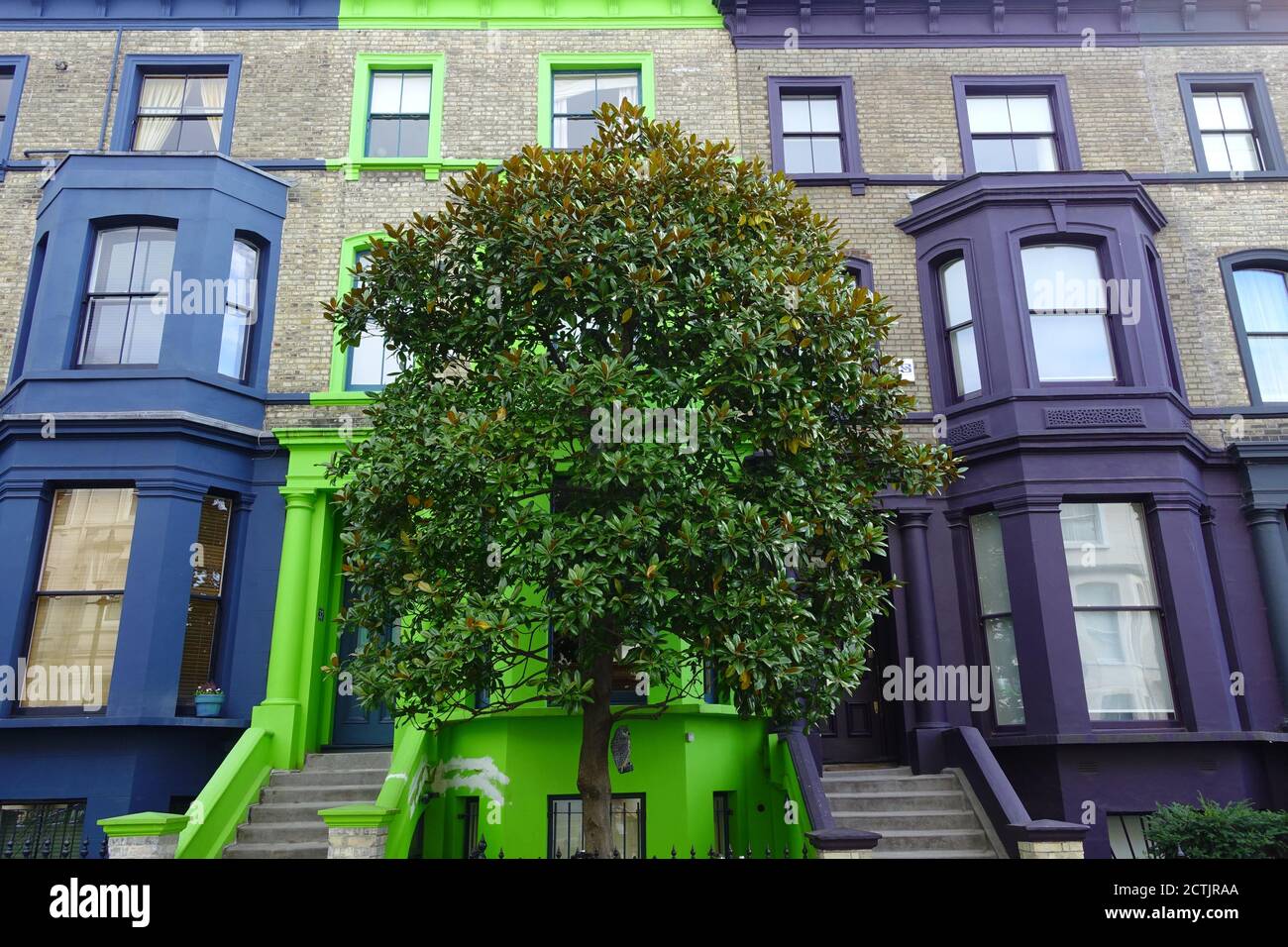 Maisons colorées avec un papier peint d'arbre, les plus belles rues du