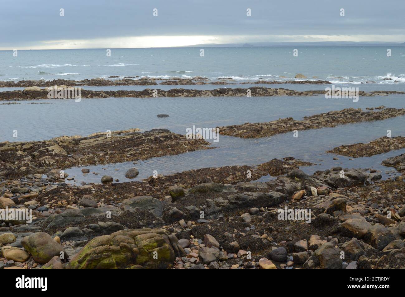 Côte de Stony près du port de St Monans, Fife, Écosse Banque D'Images