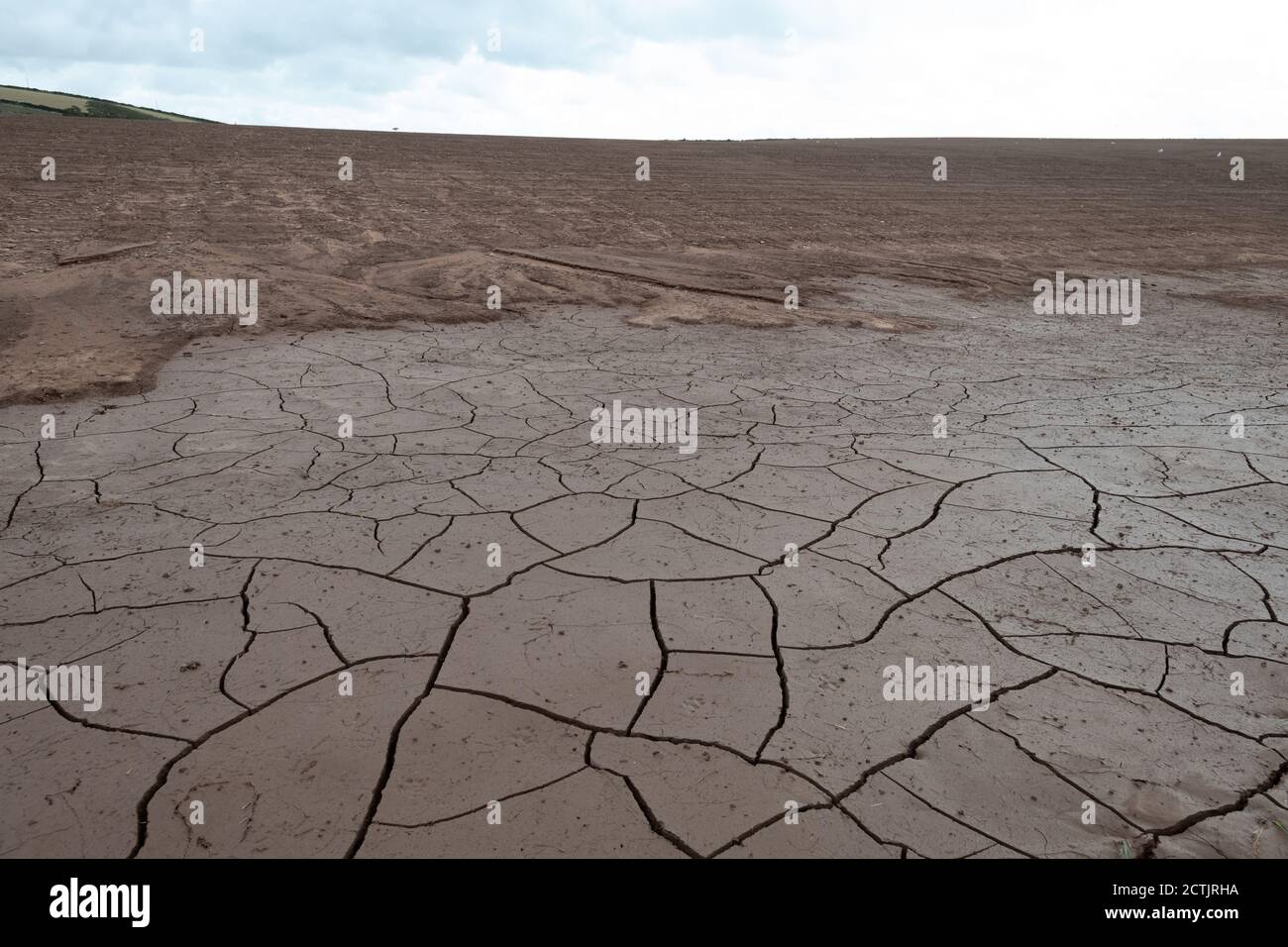 Séchant de boue craqué dans le champ qui avait été précédemment inondé, Angleterre, Royaume-Uni Banque D'Images