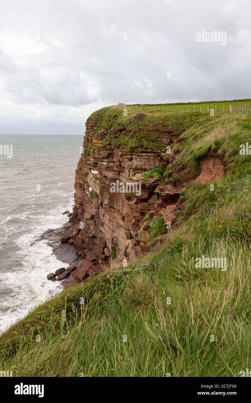 St Bees North Head, un bluff de grès rouge, Cumbria, Angleterre, Royaume-Uni Banque D'Images