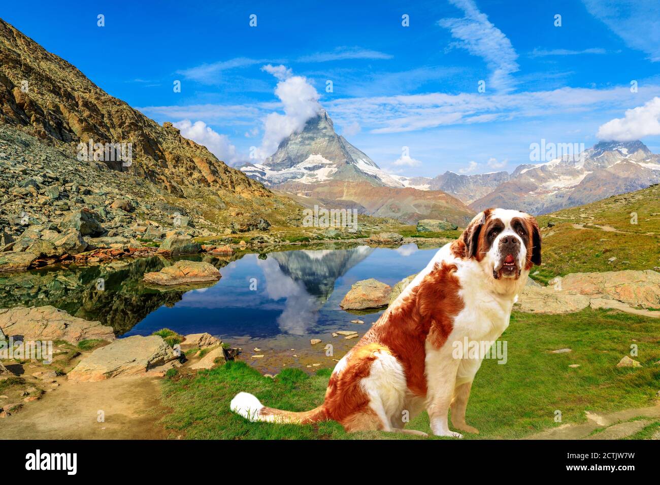 Chien de secours Saint-Bernard debout à Zermatt, canton du Valais, Suisse, avec le Mont Matterhorn ou Monte Cervino ou Mont Cervin se reflète sur Riffelsee Banque D'Images