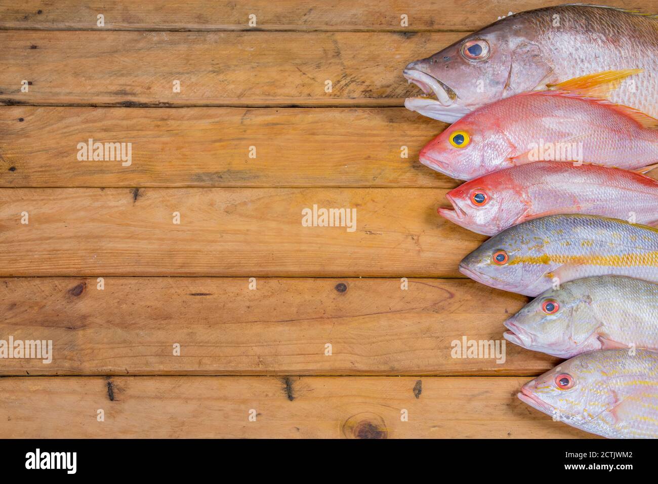 Poisson frais des Caraïbes, fruits de mer sur une ancienne table en bois. Vue de dessus. Gros plan. Banque D'Images