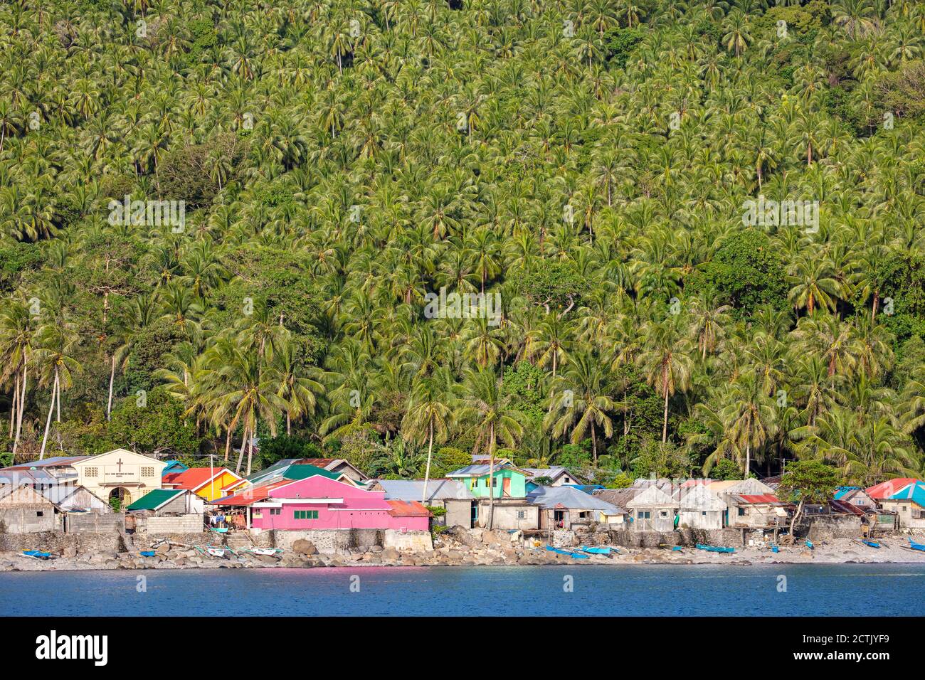 Une montagne de palmiers à noix de coco s'élève au-dessus du village de son-ok à l'extrémité sud de l'île de Leyte, aux Philippines. Banque D'Images