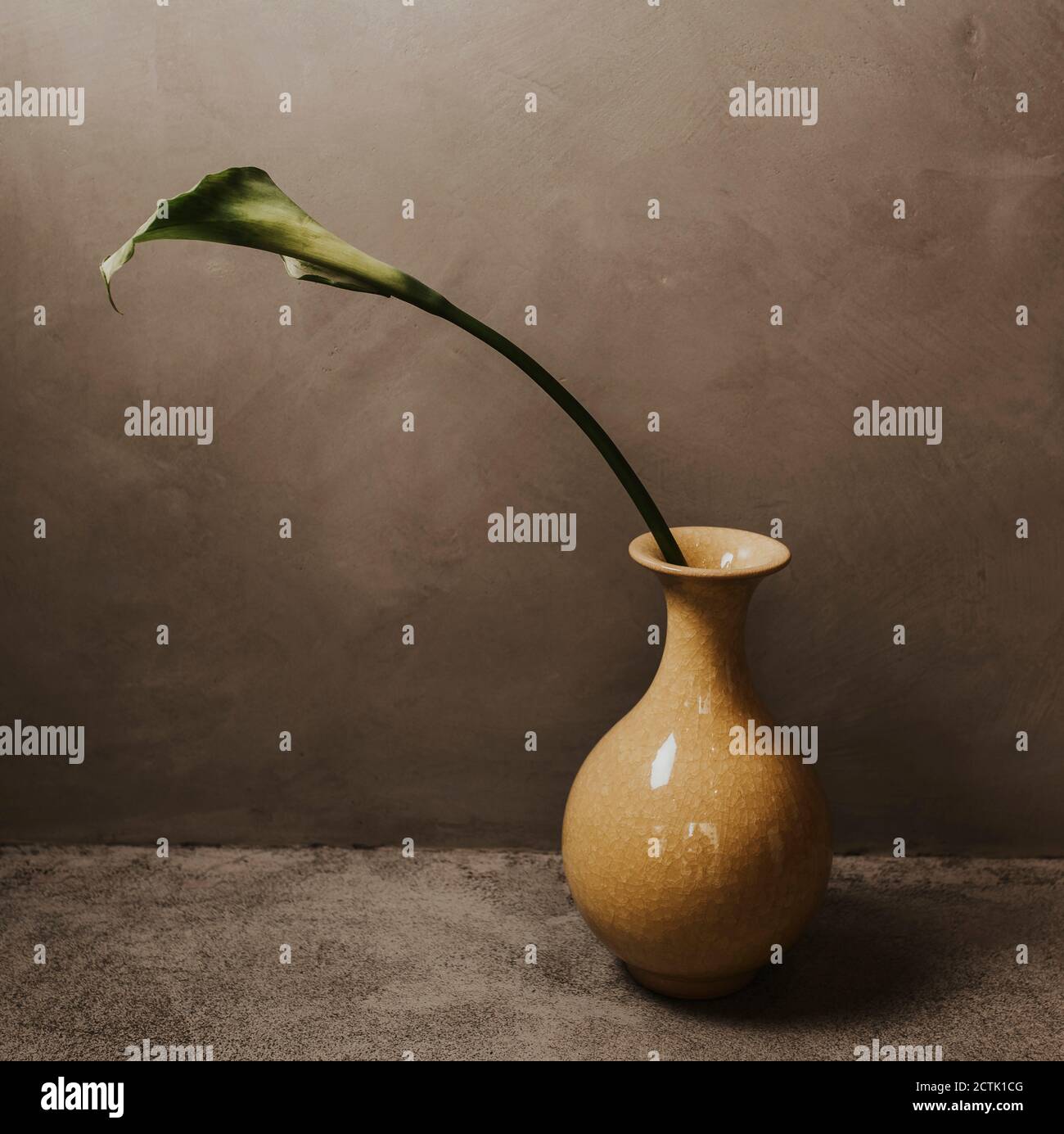 Gros plan de la feuille dans un vase sur une table contre un mur en béton à la maison Banque D'Images