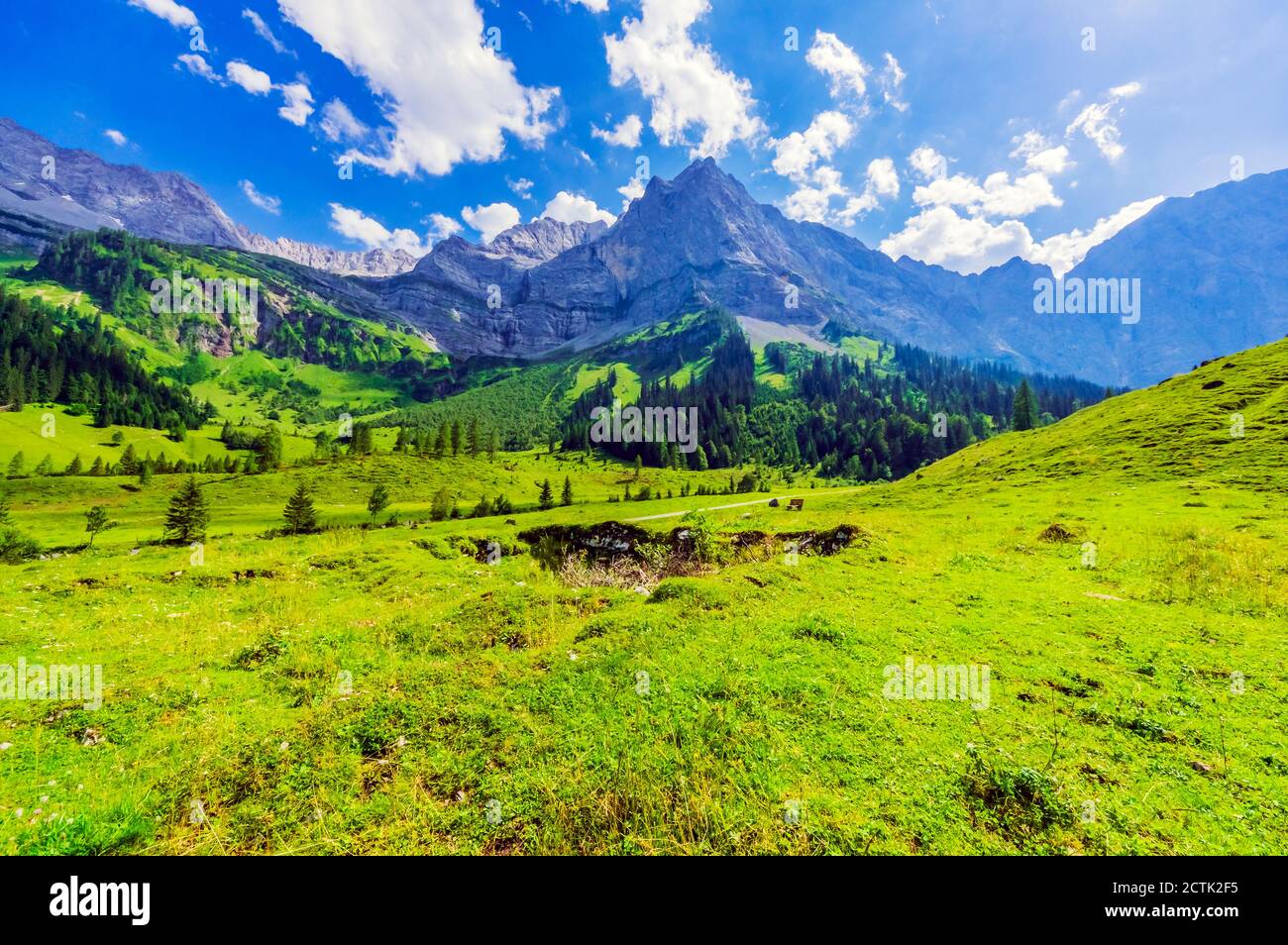 Autriche, Tyrol, Vomp, vue panoramique sur la vallée verte de l'auberge en été Banque D'Images