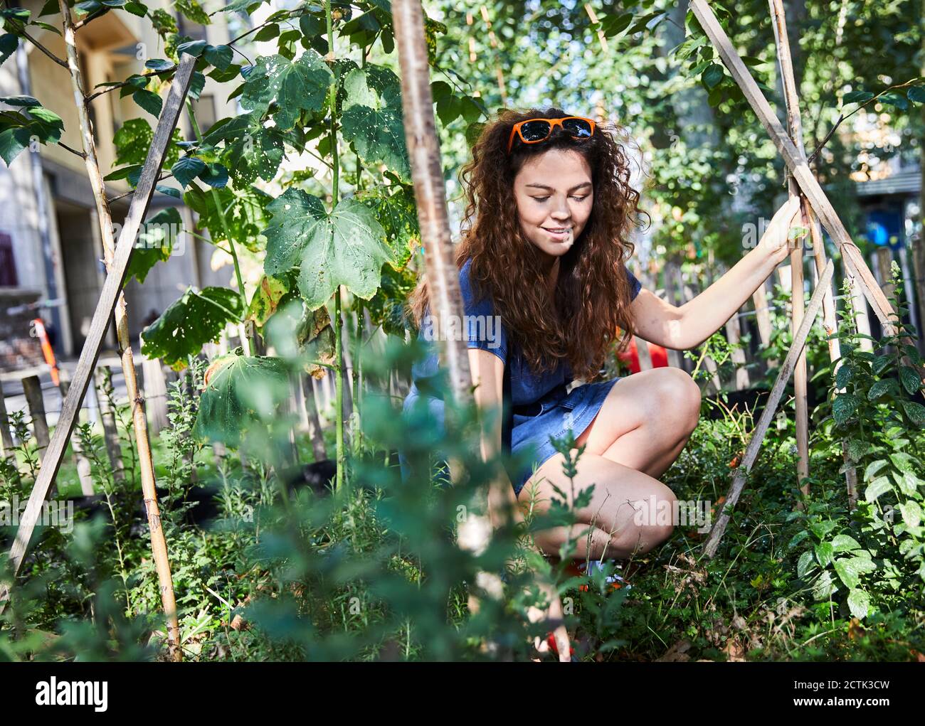 Jeune femme brunette jardinage Banque D'Images