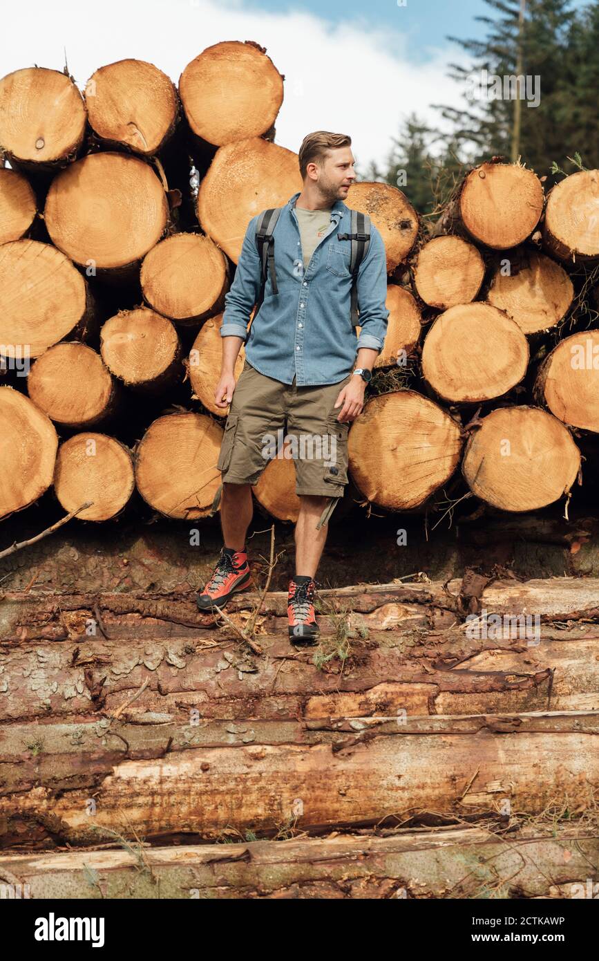 Un randonneur qui regarde loin en se tenant sur une bûche contre une pile de bois en forêt Banque D'Images