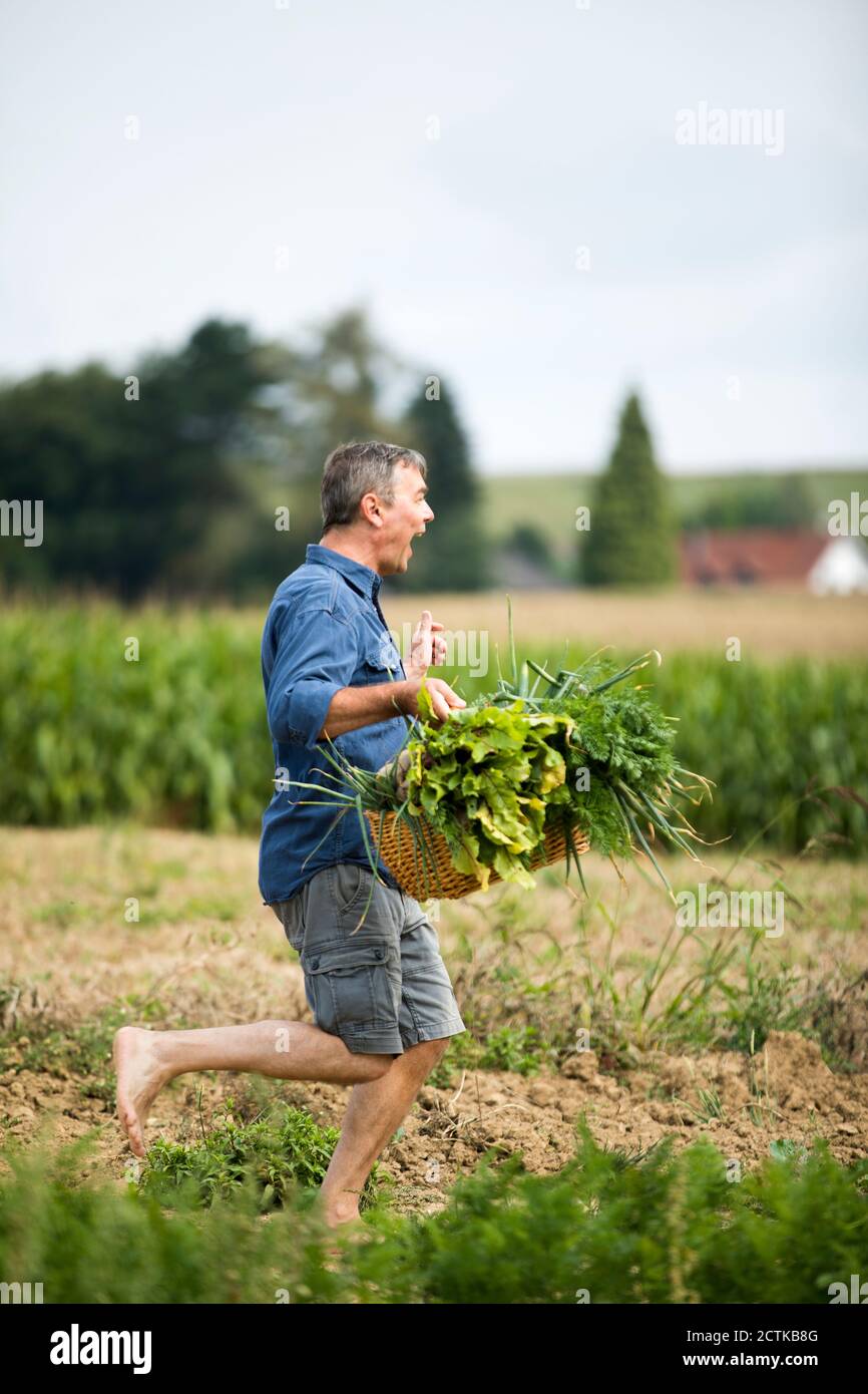 Homme joyeux qui court à la ferme tout en tenant le panier à légumes Banque D'Images