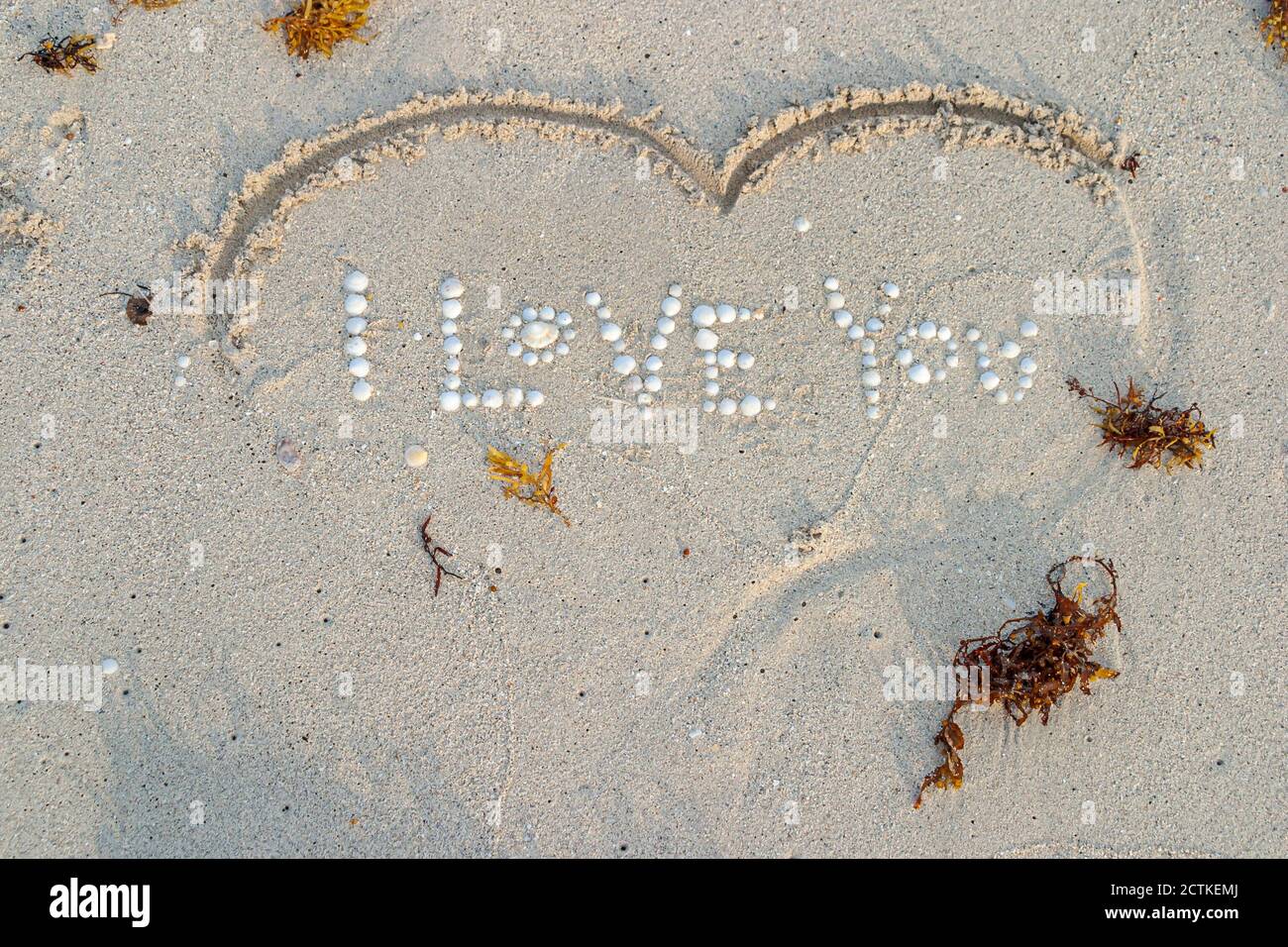 Entoure D Amour Banque De Photographies Et D Images A Haute Resolution Alamy