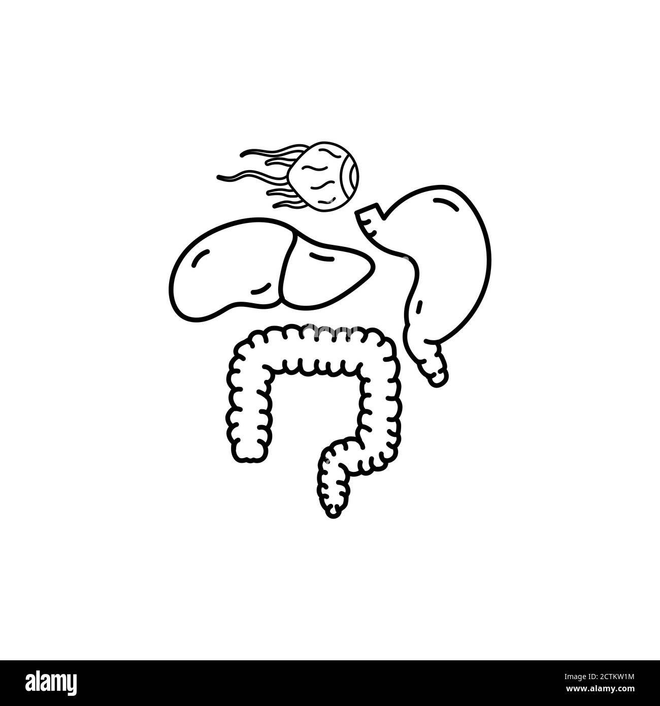modèle de conception d'icône d'organes internes humains isolé Illustration de Vecteur