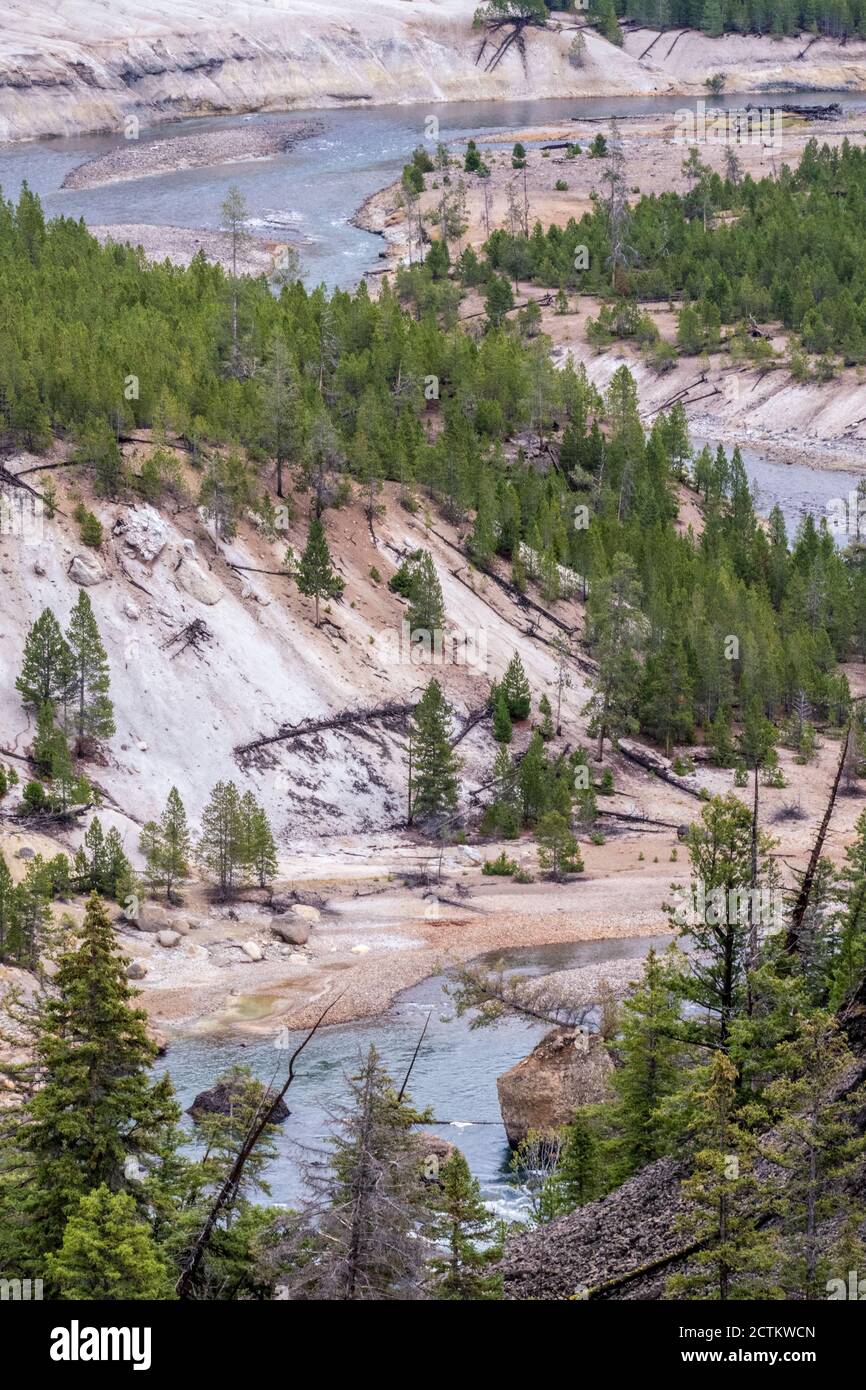 Parc national de Yellowstone, Wyoming, États-Unis. La rivière Yellowstone sinueuse autour du paysage des falaises de craie. Banque D'Images