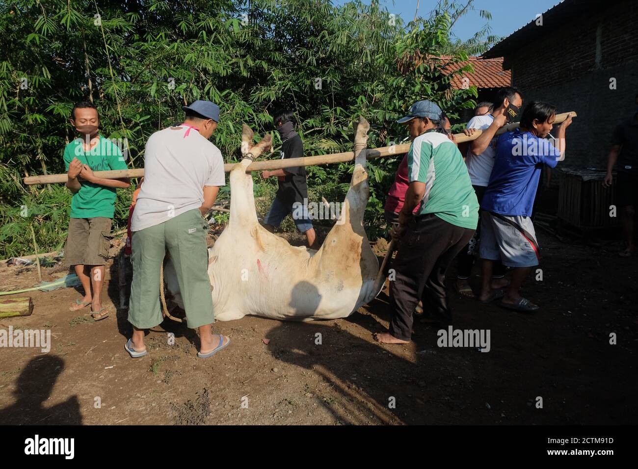 Purbalingga, Indonésie - Juli 31 2020: Procédé d'abattage sur qUrban eid Al adha, les slaughters utilisant le masque pendant le procédé. Banque D'Images