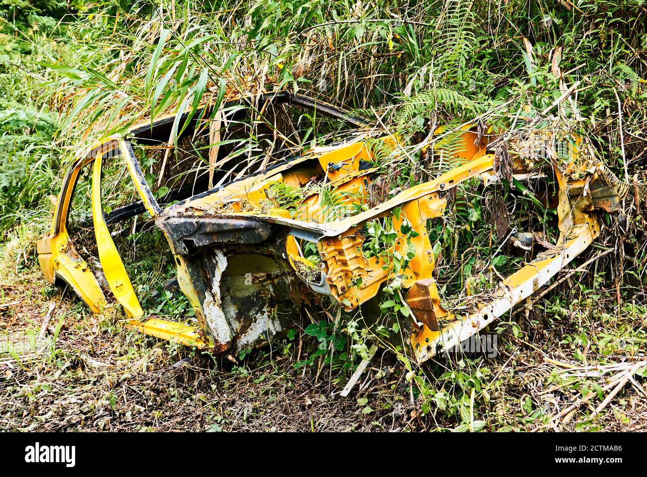 Vue rapprochée d'un châssis de voiture jaune abandonné à côté d'une route, entouré de plantes et d'herbe, province de montagne, Philippines, Asie Banque D'Images