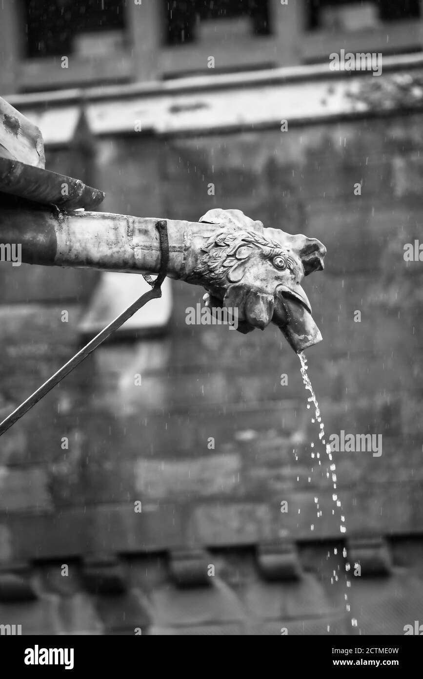 Cardiff caste Cockerel, Rooster Waterbec verser de l'eau pendant une tempête de pluie. Noir et blanc. Nuages de tempête. Format vertical. Castell Caerdydd. Banque D'Images