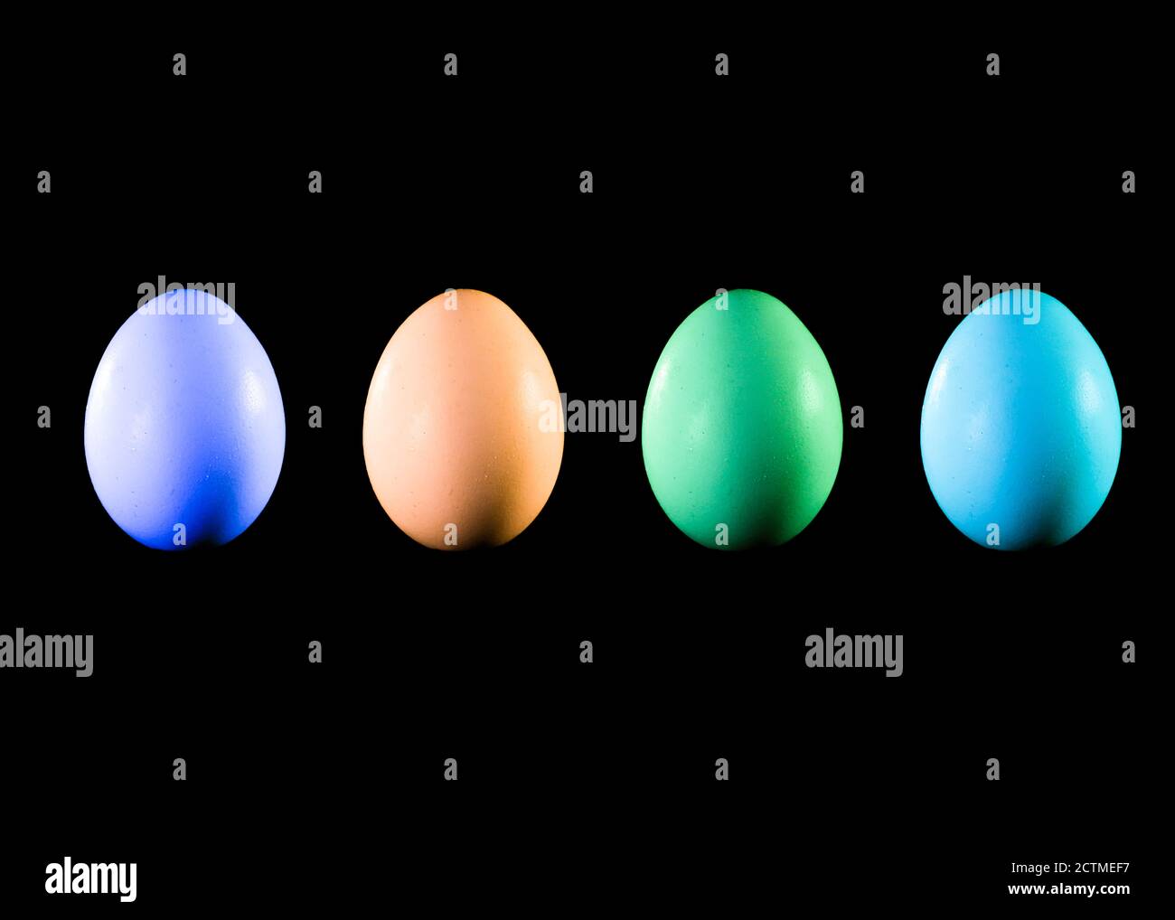 Œufs de couleur avec fond noir - Photographie dans le studio haut Banque D'Images