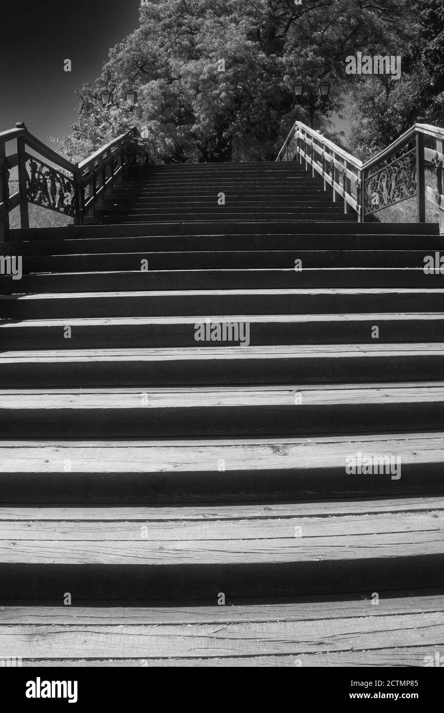 Vieux escalier en bois dans le parc de la ville de Chernigov. Vers le haut. Image en noir et blanc. Banque D'Images