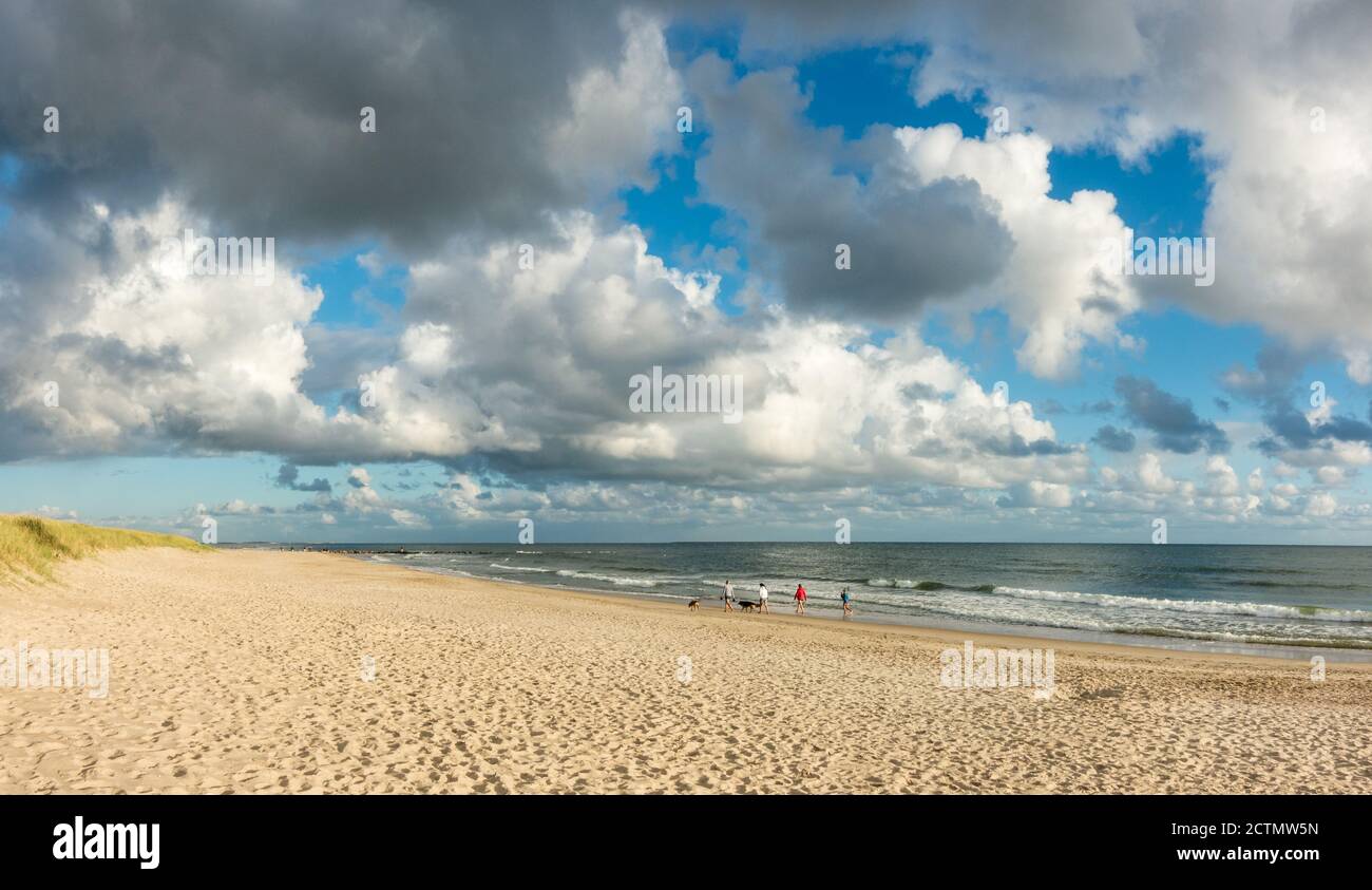 Panorama sur la plage de sable avec les gens et les chiens. Ciel bleu et nuages spectaculaires au bord de l'eau de la côte dans la douce lumière du coucher du soleil. Hvidbjerg Strand, Blavand Banque D'Images