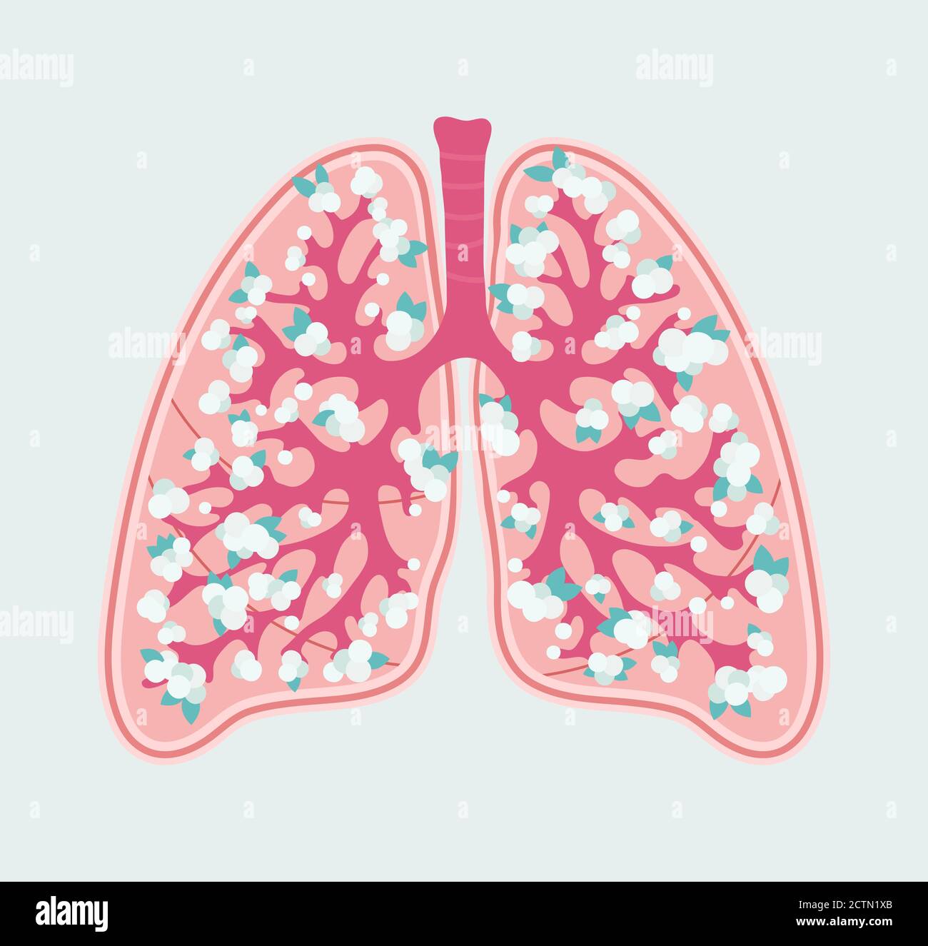 Schéma floral convivial de poumons et d'alvéoles humains sains. Système respiratoire - Schéma médical tracé à la main Illustration de Vecteur
