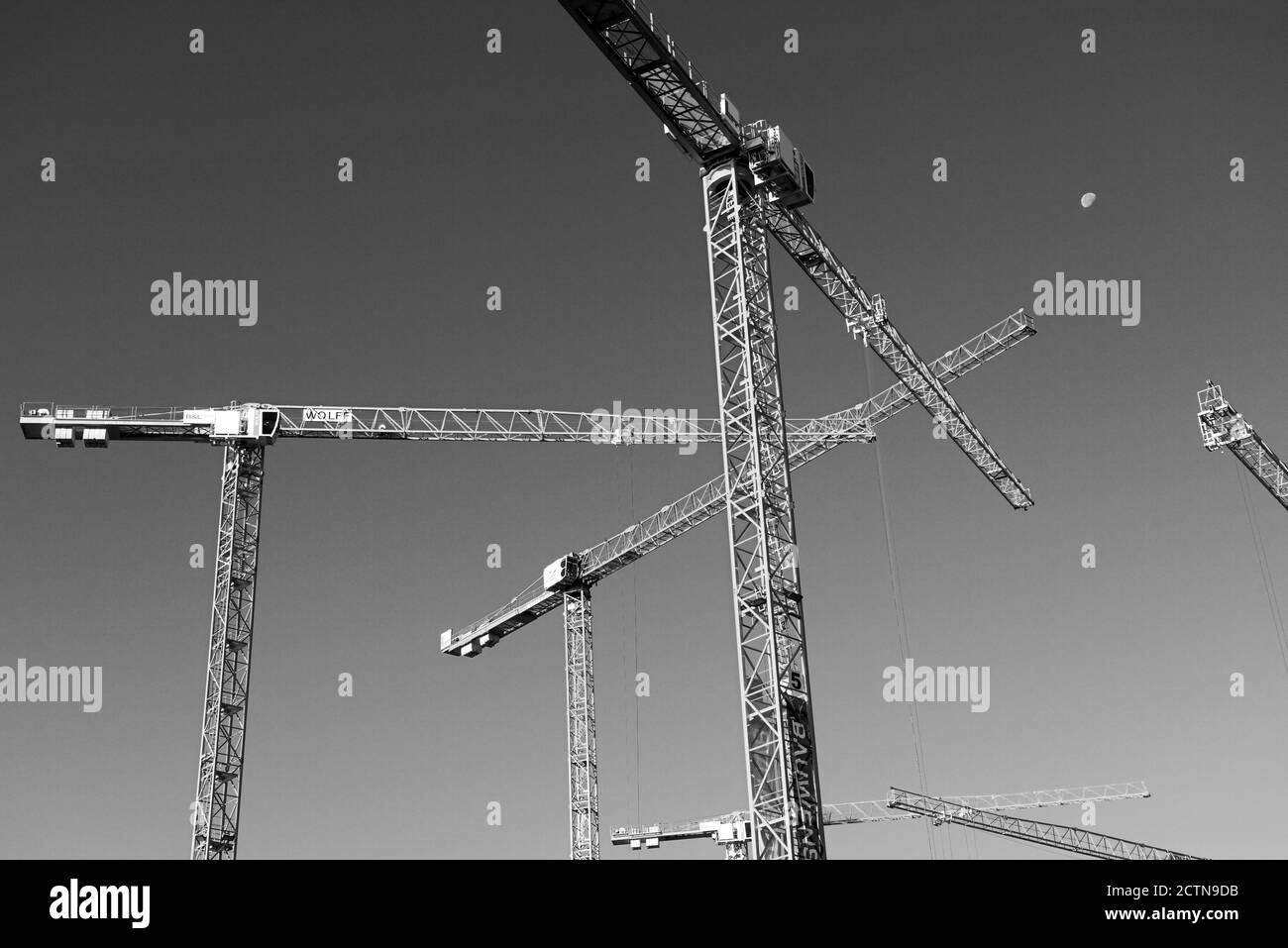 Plusieurs grues de construction sur un site de construction en noir et blanc Banque D'Images