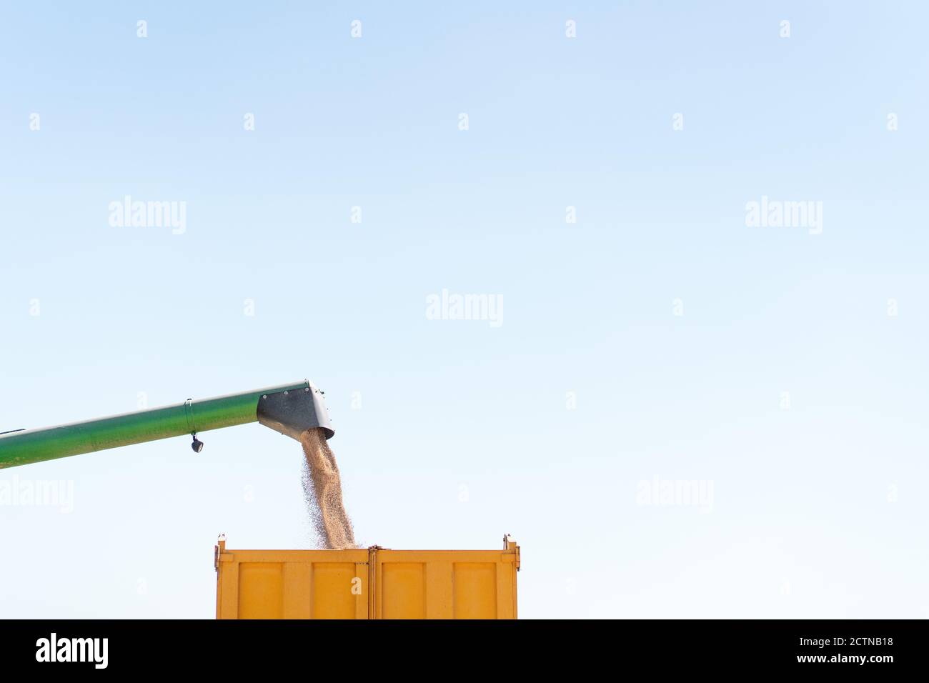 Faible angle de détail de la moissonneuse-batteuse qui verse le grain de blé en remorque pendant le travail dans les champs agricoles à la campagne Banque D'Images