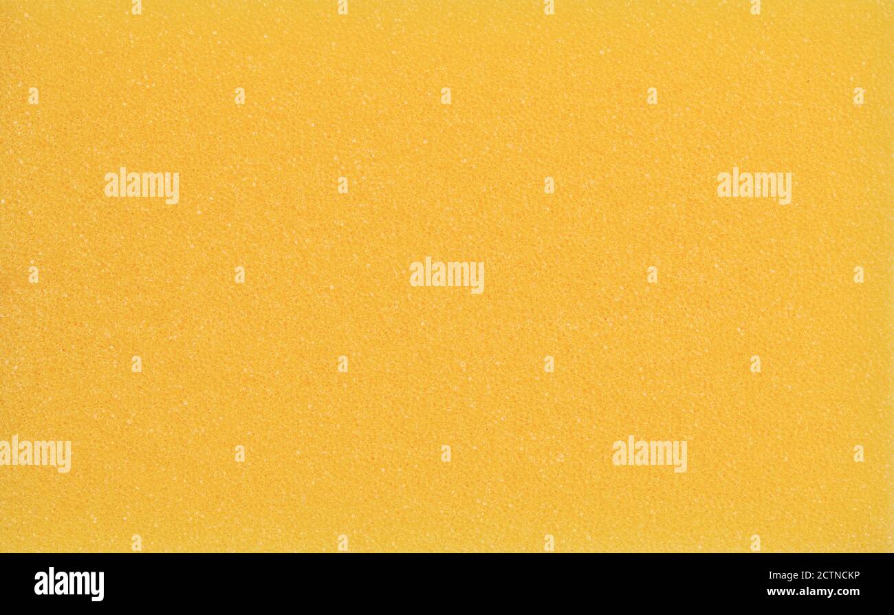 Gros plan sur la texture éponge Banque D'Images