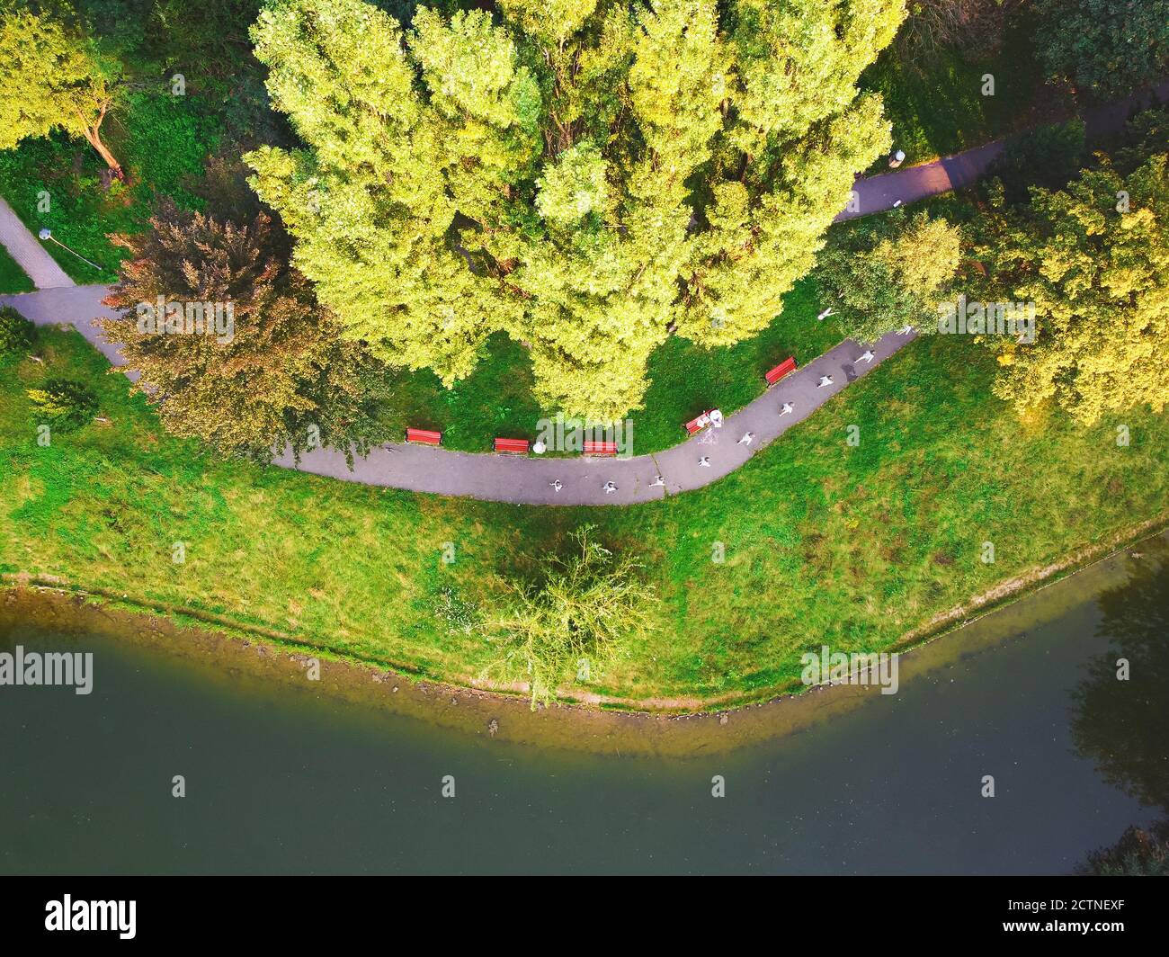Vue de haut en bas sur le lac et les ruelles du parc. Drone, vue aérienne Banque D'Images