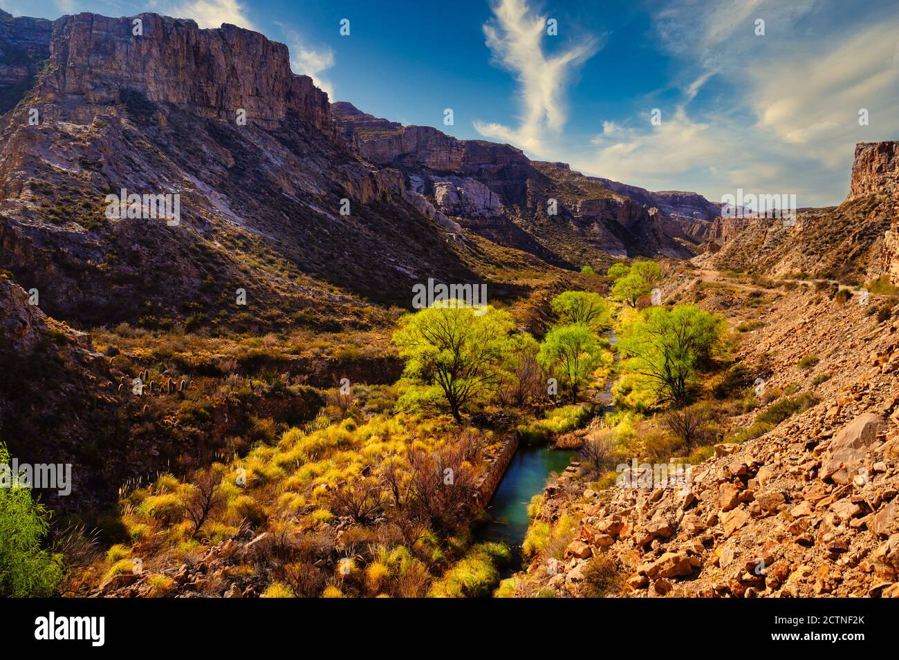 Vue panoramique sur le canyon d'Atuel, Mendoza, Argentine. Un petit ruisseau d'eau froide dans le fond Banque D'Images