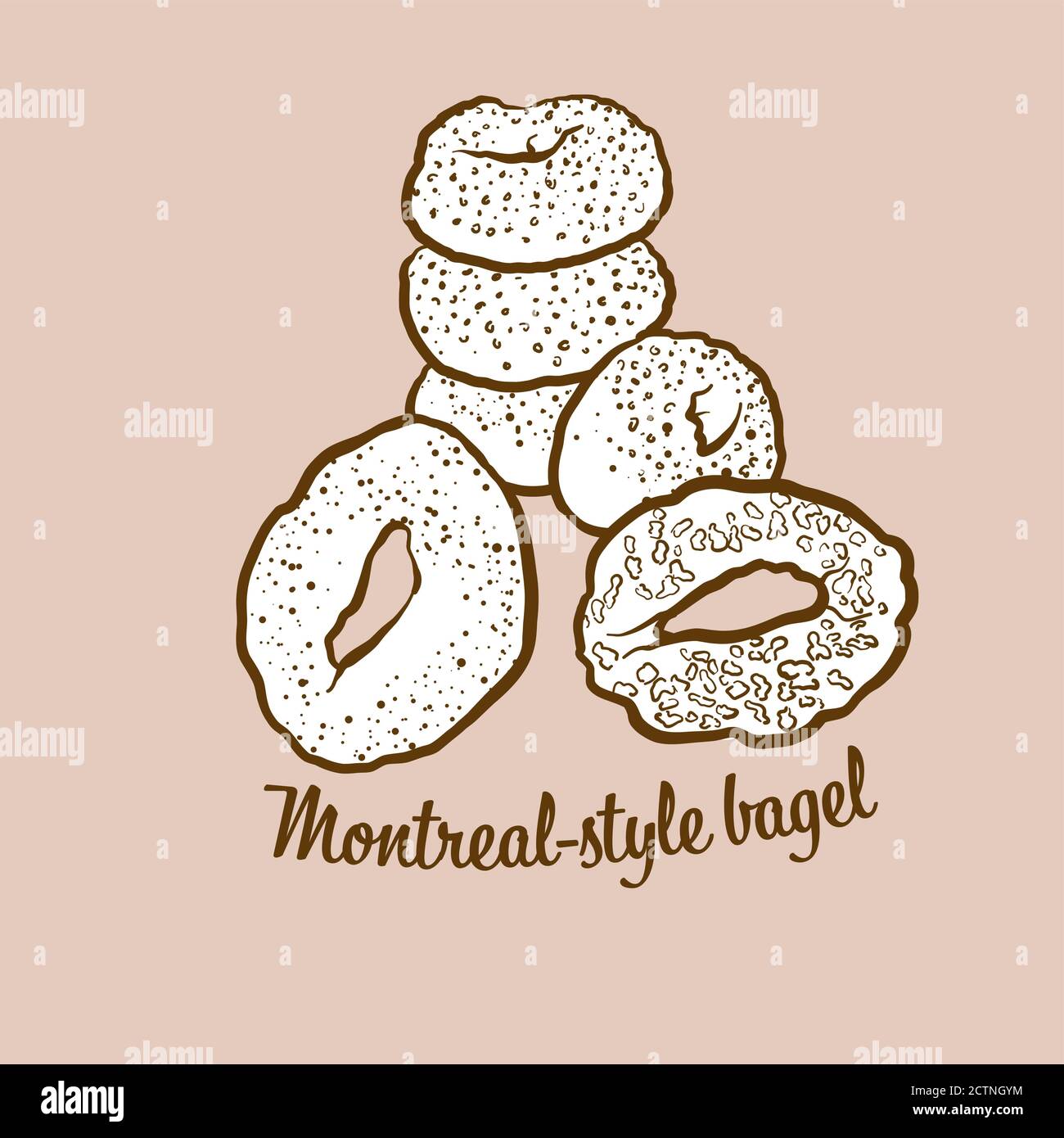 Illustration de pain de bagel de style montréalais dessiné à la main. Pain de levure, habituellement connu au Canada. Série de mises en plan vectorielles. Illustration de Vecteur