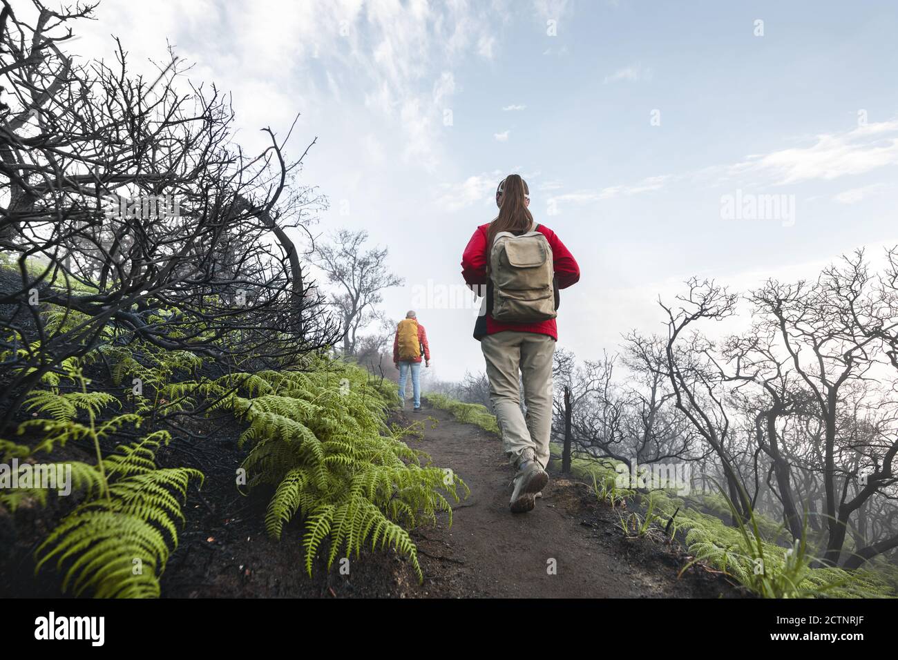 Deux touristes avec des sacs à dos marche au sommet du volcan en acide nuages et arbres morts Banque D'Images