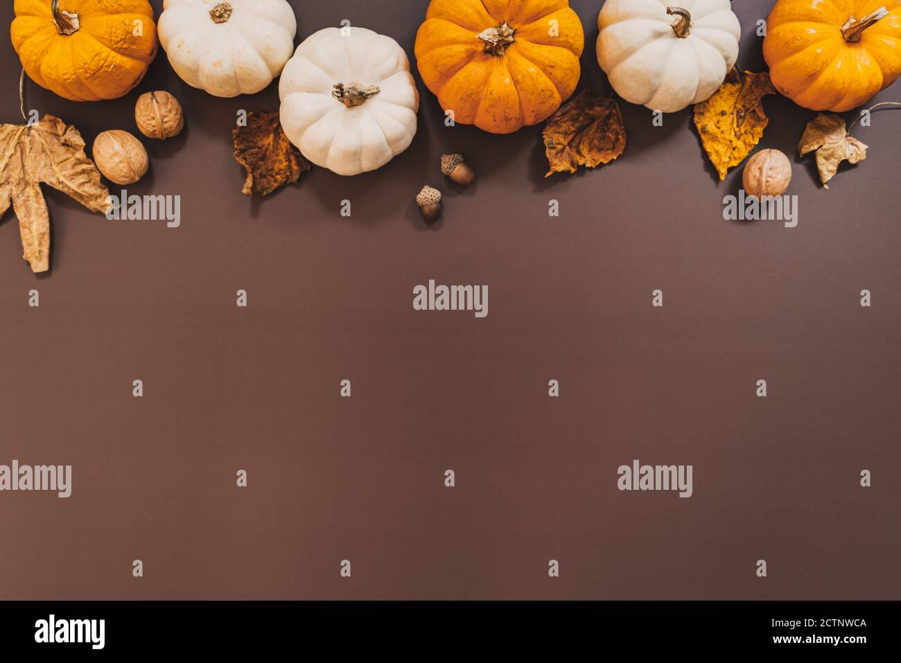 Bonne journée de Thanksgiving avec citrouille et noix sur la table Banque D'Images