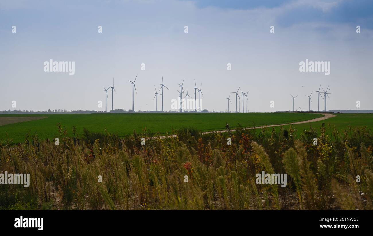 Éoliennes sur le Rhin inférieur Banque D'Images