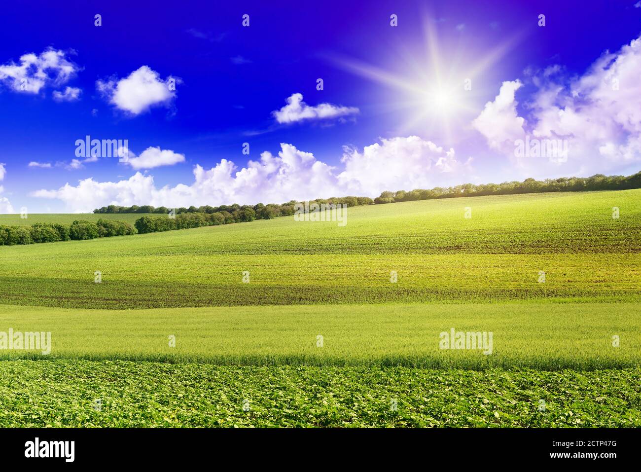 Aube sur le champ de printemps et ciel bleu foncé Banque D'Images