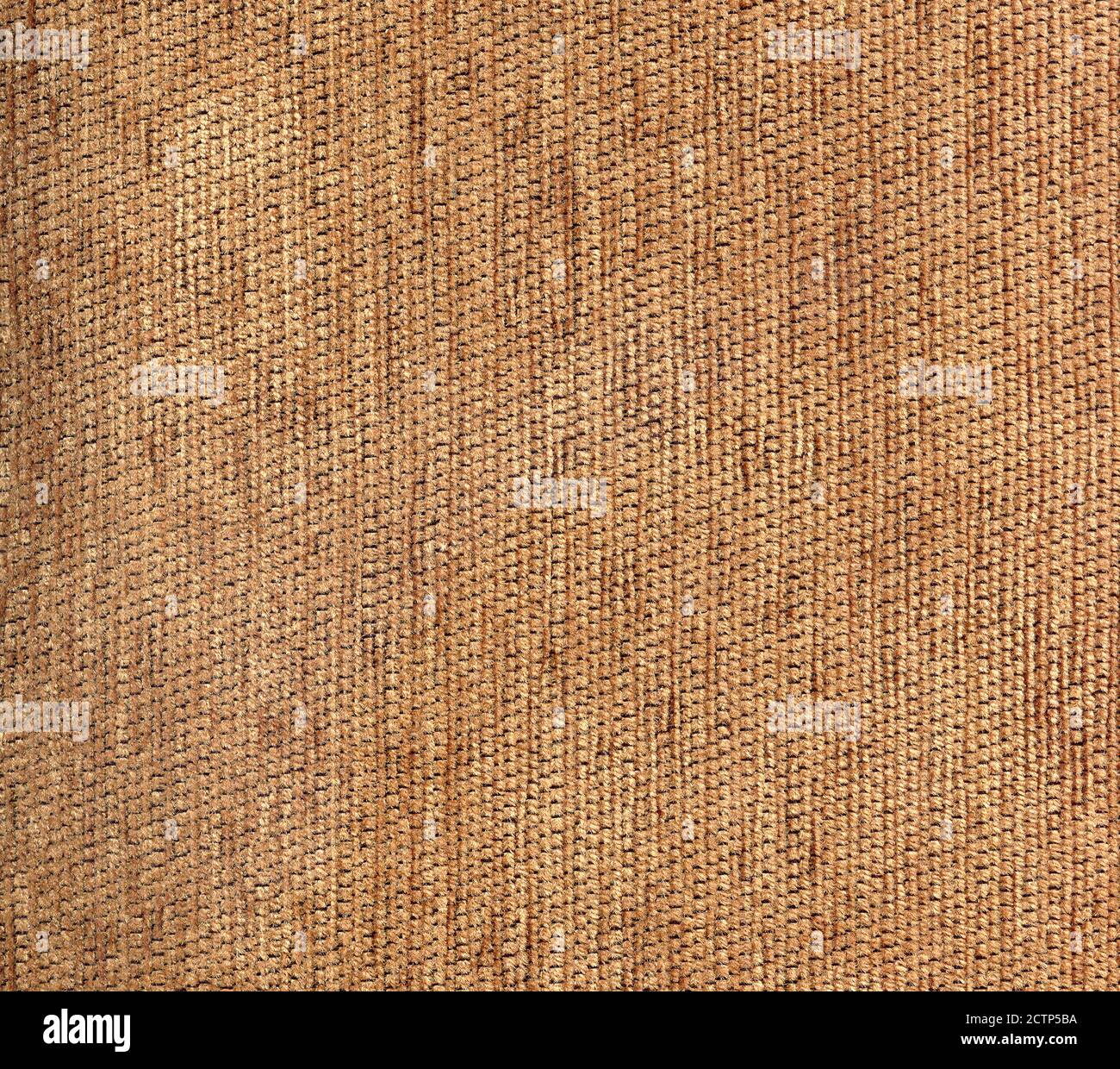 Texture en tissu pour votre arrière-plan. Banque D'Images