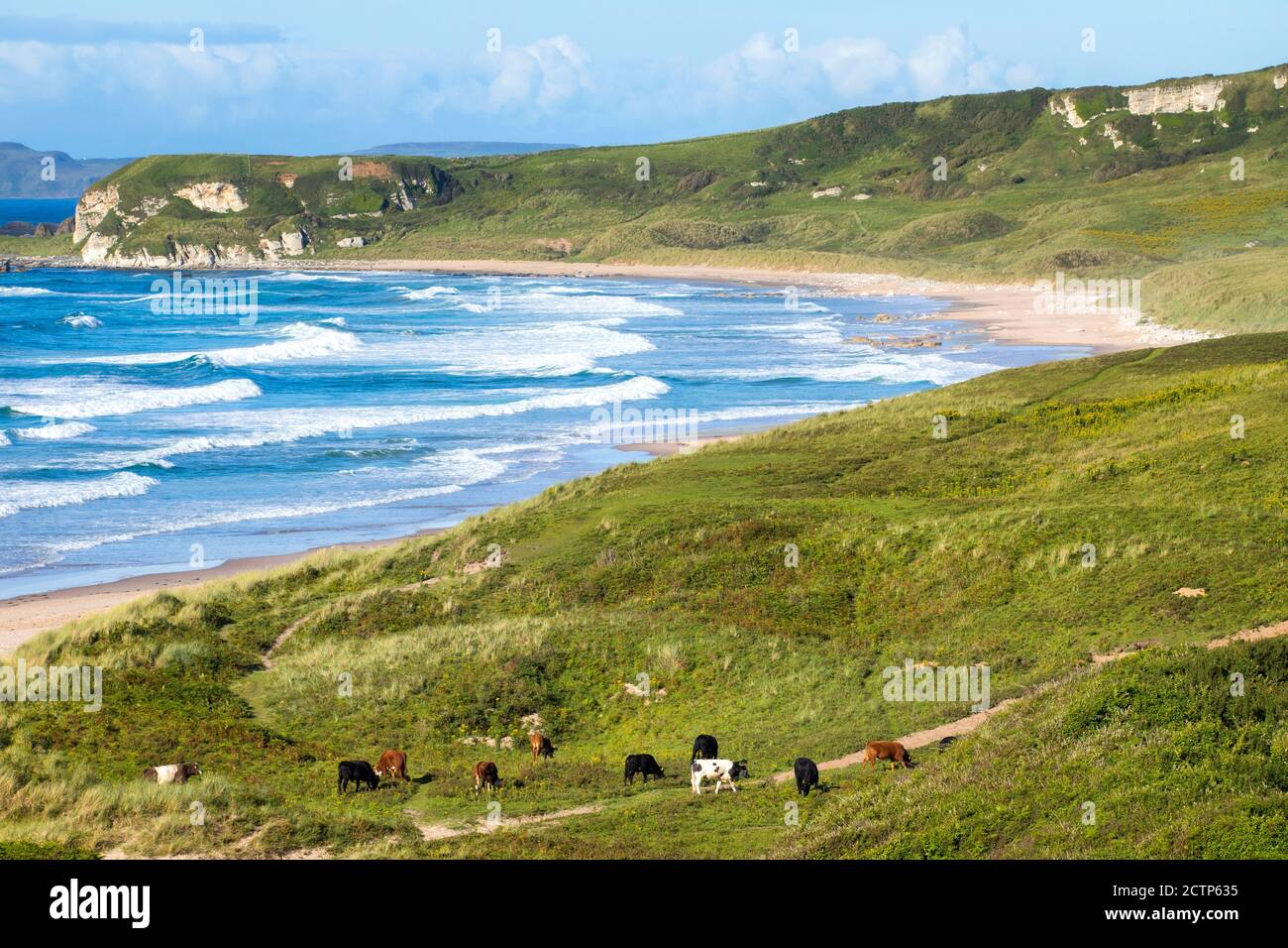 White Park Bay, Co. Antrim Banque D'Images