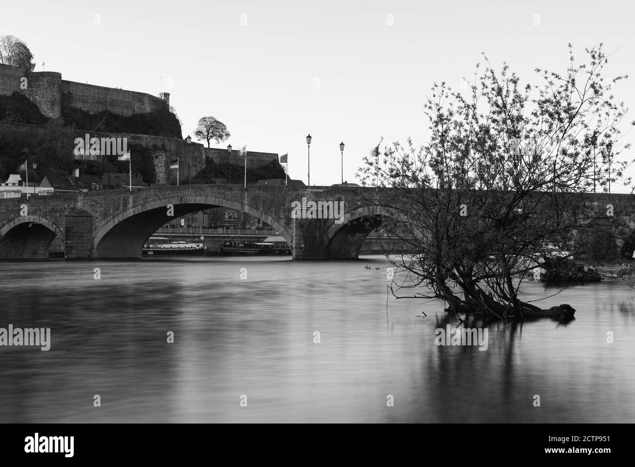Vue en noir et blanc d'un vieux pont en pierre avec un arbre dans l'eau floue et la citadelle de Namur en haut de la colline à l'arrière-plan. Banque D'Images