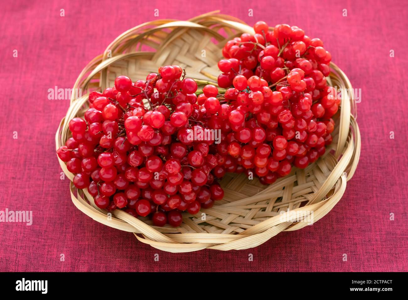 Fruits de Viburnum dans une assiette de paille en osier sur une nappe rouge sur la table. Baies fraîches. Concept de cuisine végétarienne Banque D'Images