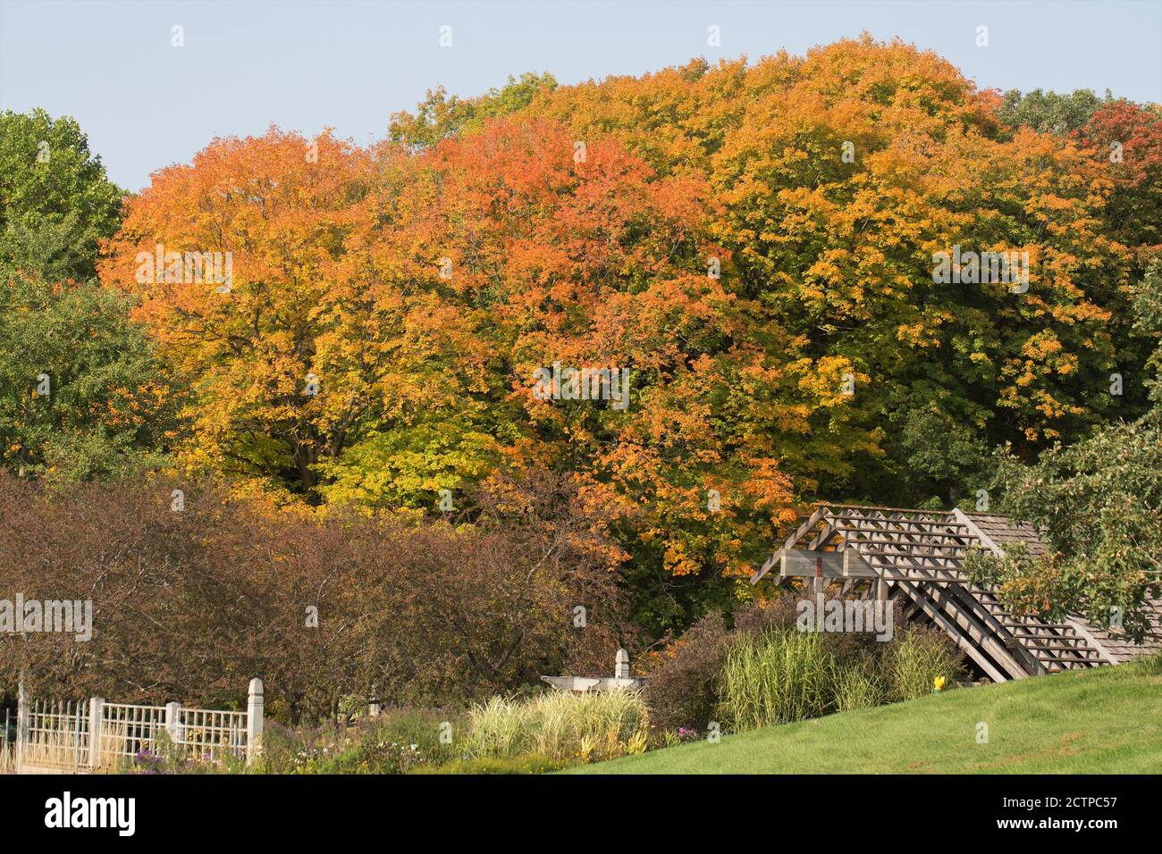 Couleurs d'automne à l'arboretum du Minnesota Landscape à Chanhassen, MN, États-Unis. Banque D'Images