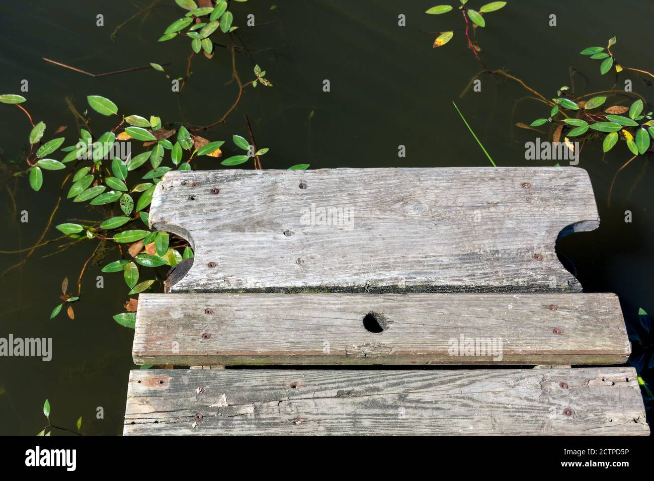 Vieux ponton sur le lac de Biscarrosse, dans le département des Landes sur la côte atlantique française Banque D'Images