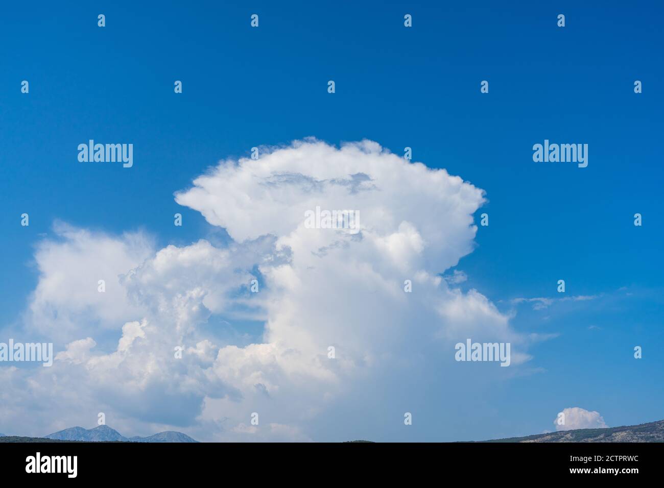 Le nuage ressemble au visage d'un animal comme un chien ou un singe sur le fond du ciel. Banque D'Images