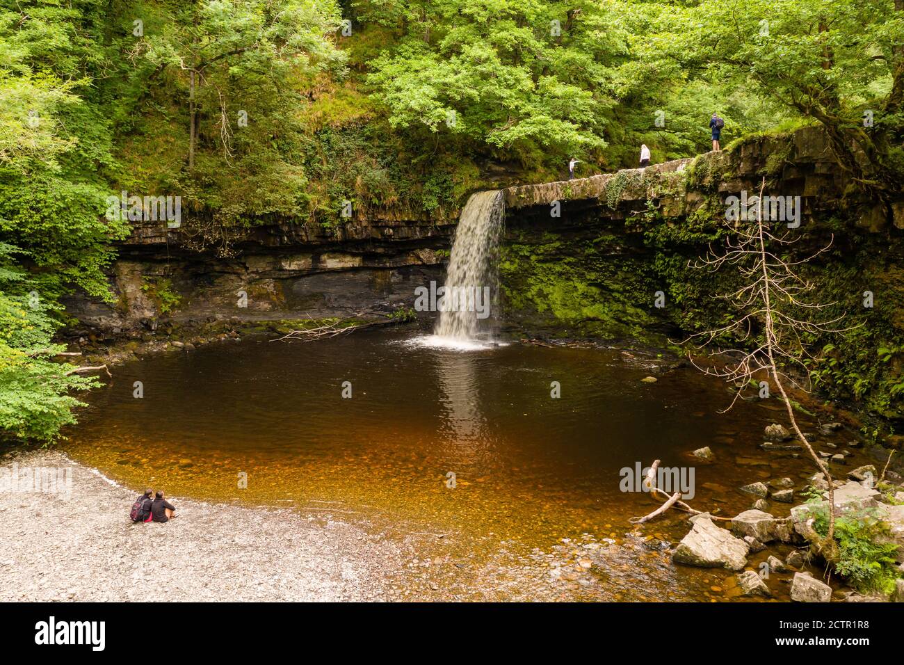 Vue aérienne basse d'une cascade pittoresque dans une forêt luxuriante et verdoyante (Sgwd Gwladys, pays de Galles, Royaume-Uni) Banque D'Images