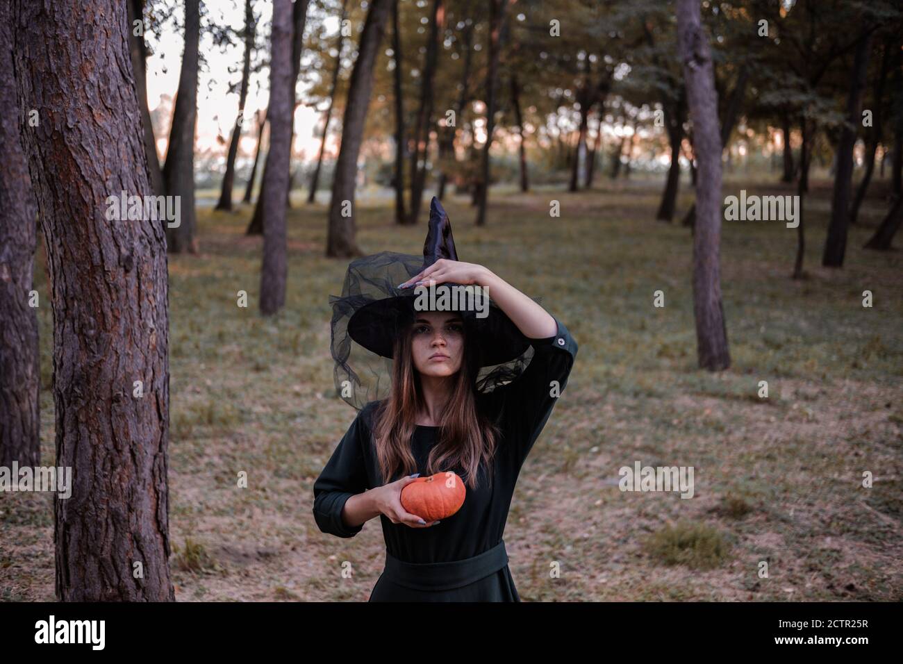Jeune mignonne belle femme en robe sombre et chapeau de sorcière tient une citrouille orange dans ses mains. Costume de fête d'Halloween. Forêt, parc avec arbres d'automne Banque D'Images