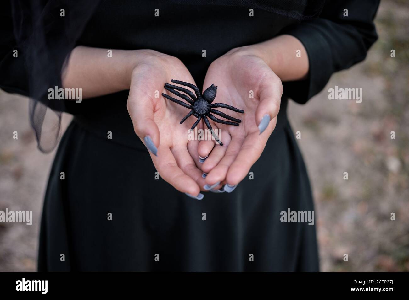Jeune mignonne belle femme en robe sombre et chapeau de sorcière hotsblack araignée dans ses mains. Costume de fête d'Halloween. Forêt, parc avec arbres d'automne Banque D'Images
