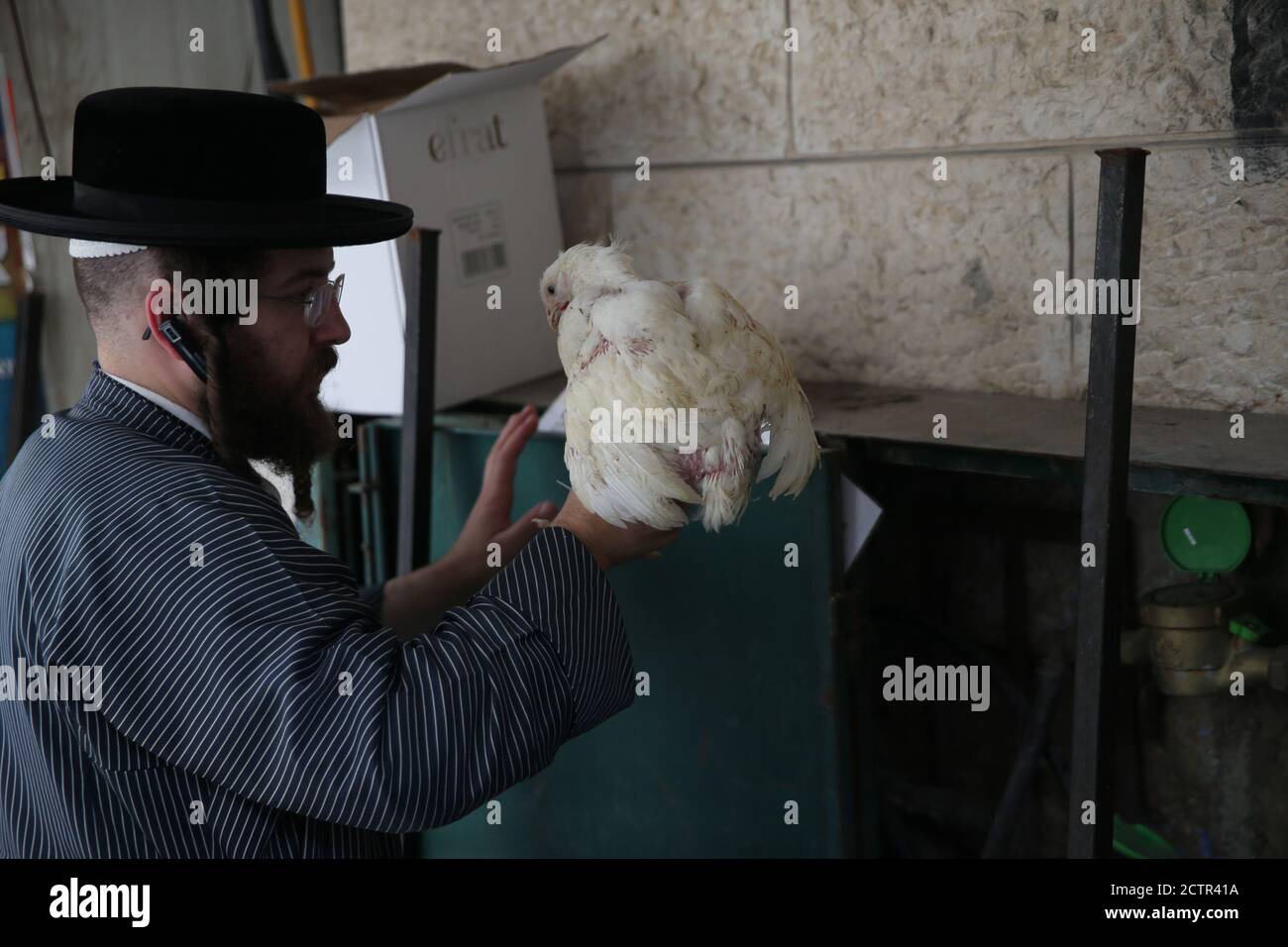 Jérusalem, MEA Shearim à Jérusalem. 24 septembre 2020. Un juif ultra-orthodoxe détient un poulet blanc pour le rituel de Kaparot, où les poulets blancs sont abattus comme un geste symbolique d'expiation devant Yom Kippour, le jour juif des expiations, dans le quartier de MEA Shearim à Jérusalem, le 24 septembre 2020. Crédit: Muammar Awad/Xinhua/Alamy Live News Banque D'Images