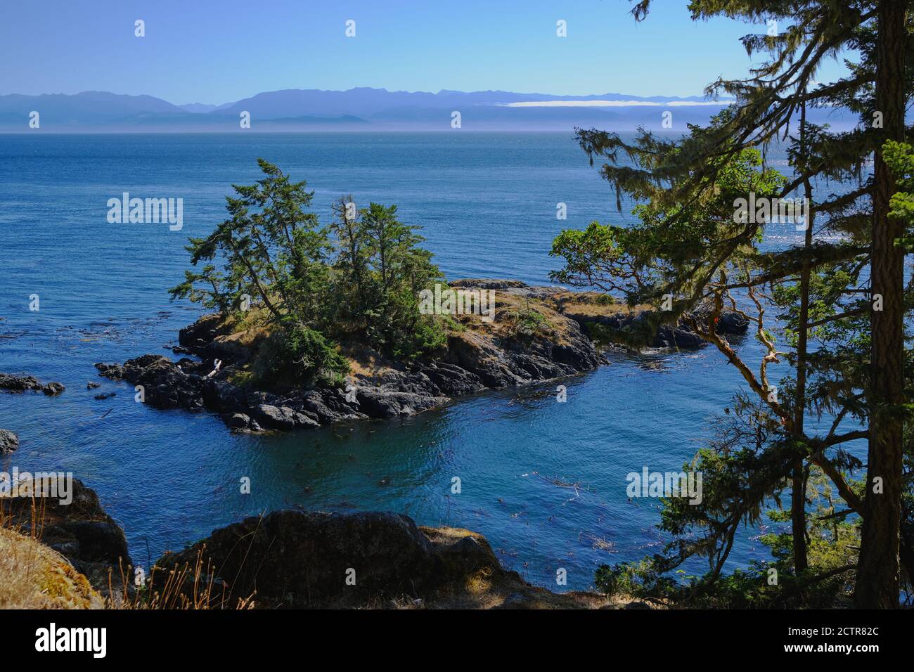 Vues sur les îlots boisés et les montagnes Olympic de l'État de Washington depuis le sentier côtier accidenté du parc régional East Sooke, île de Vancouver, Colombie-Britannique Banque D'Images