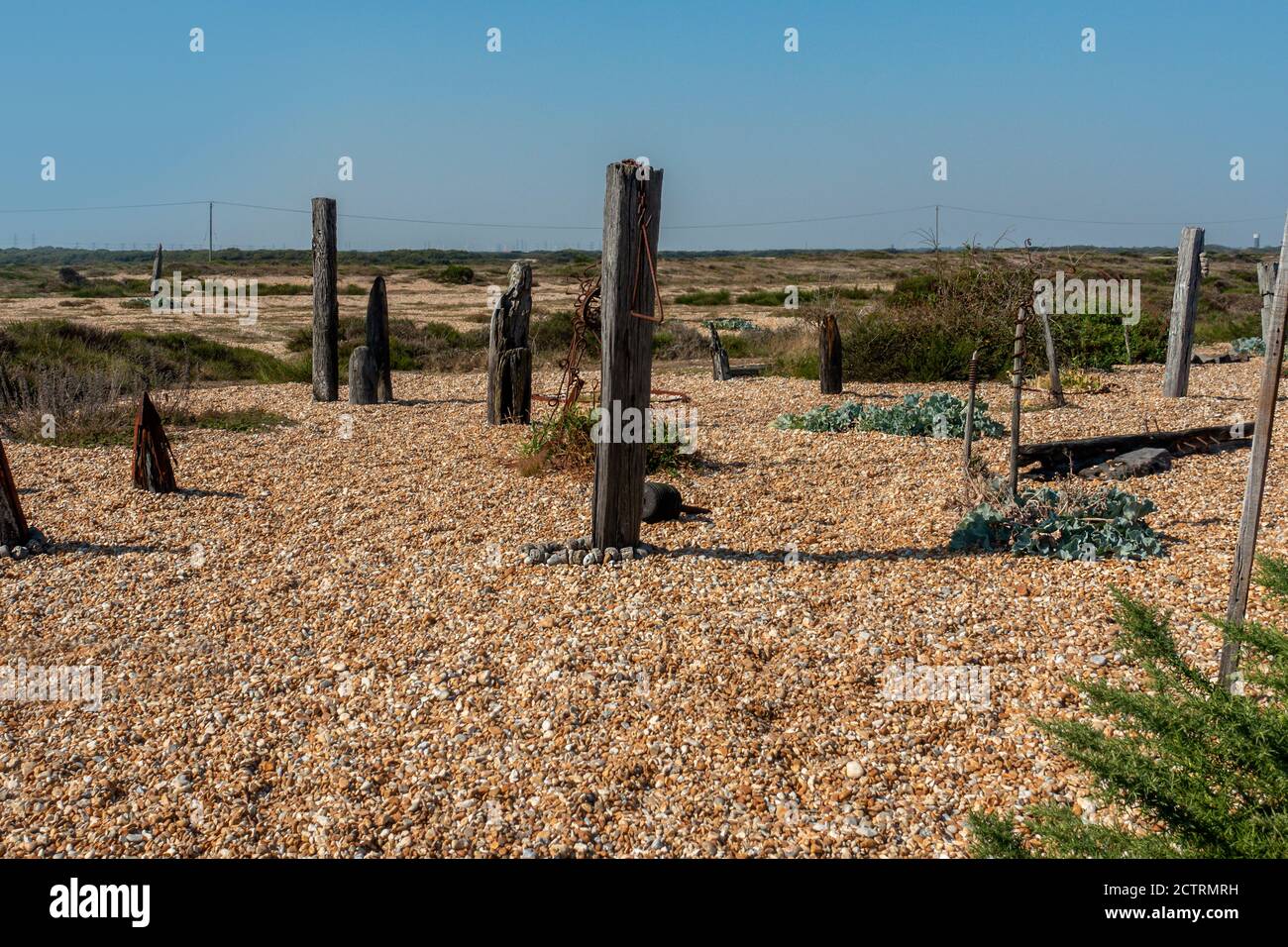 Prospect Cottage, Derek Jarman's Garden, Dungeness, Kent Banque D'Images