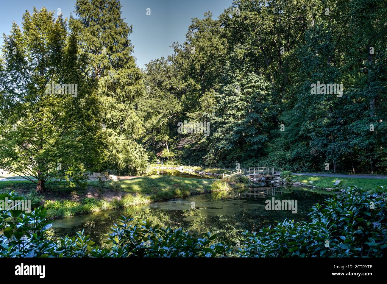 Pont en bois au-dessus d'un étang dans un cadre rural Banque D'Images