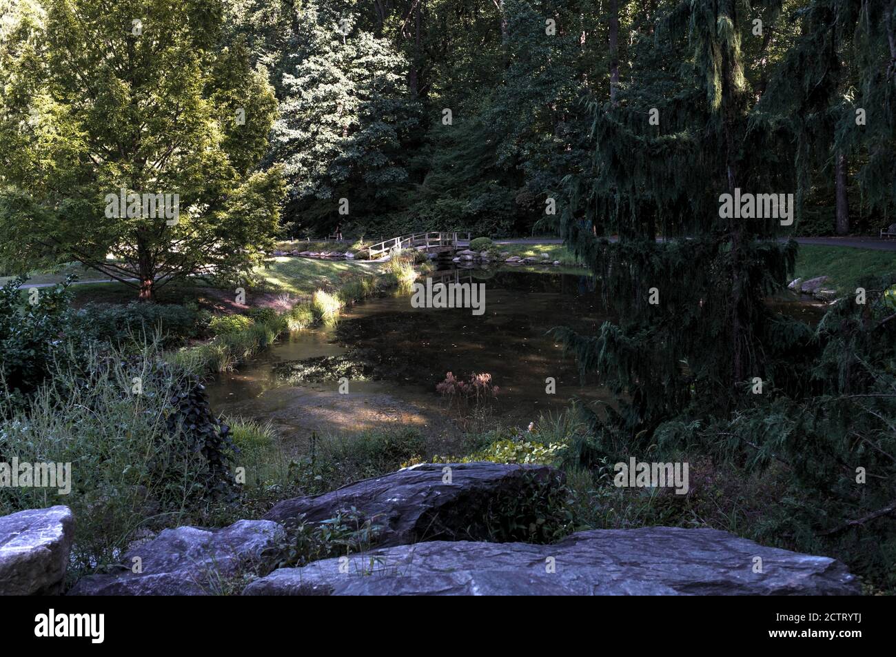 Un pont en bois au-dessus d'un étang dans un cadre rural Banque D'Images