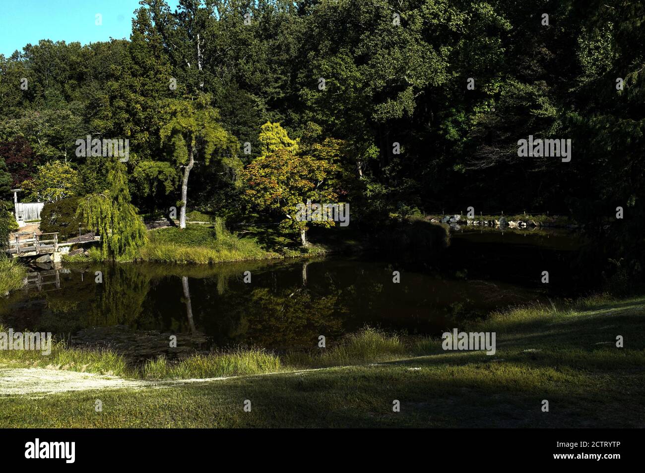 Ombres sur un pont en bois au-dessus d'un étang dans un cadre rural Banque D'Images