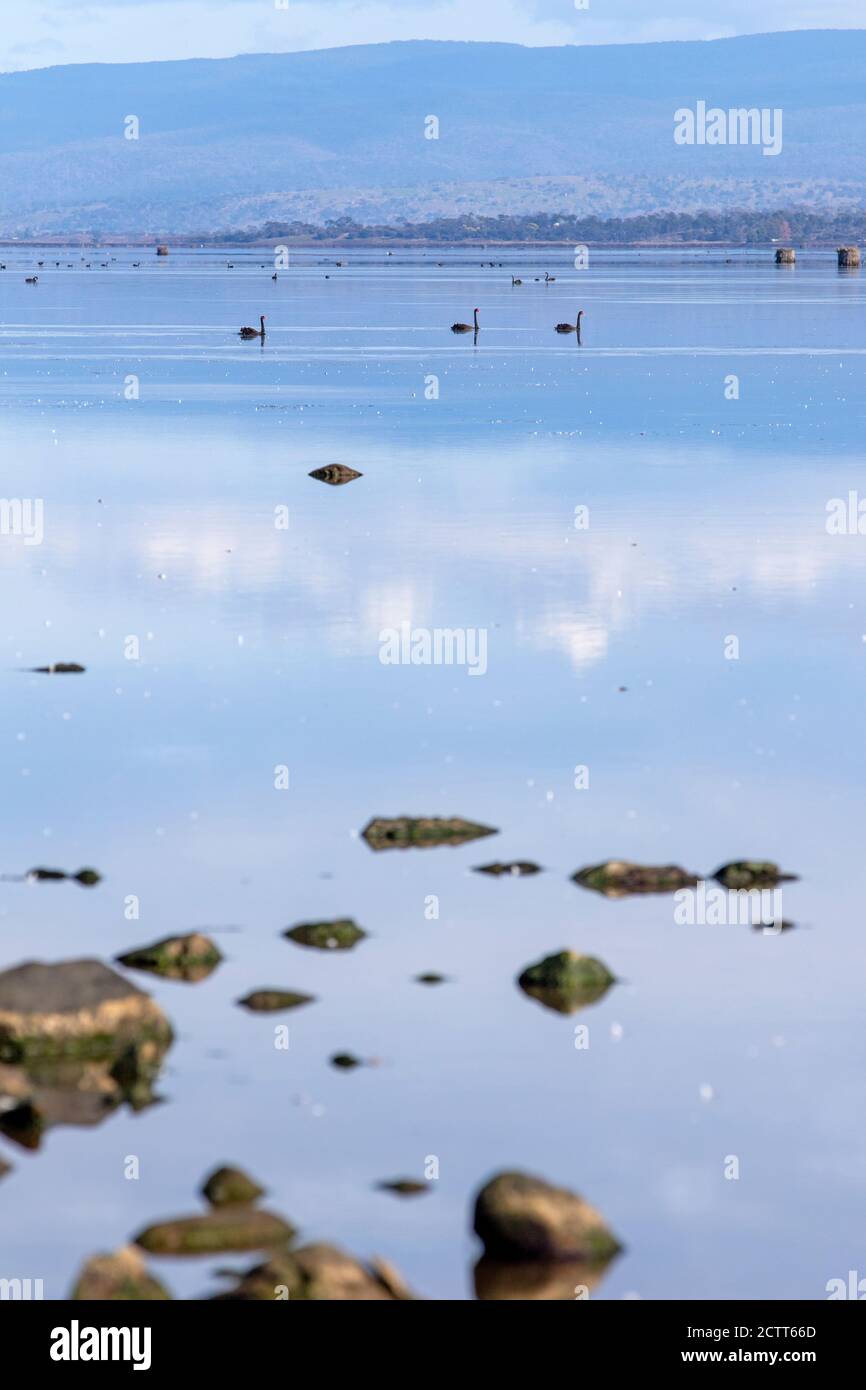 Molting Lagoon, péninsule de Freycinet Banque D'Images