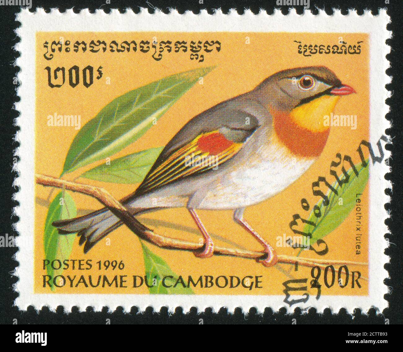 CAMBODGE - VERS 1996: Timbre imprimé par le Cambodge, montre oiseau, Leiothrix lutea, vers 1996. Banque D'Images